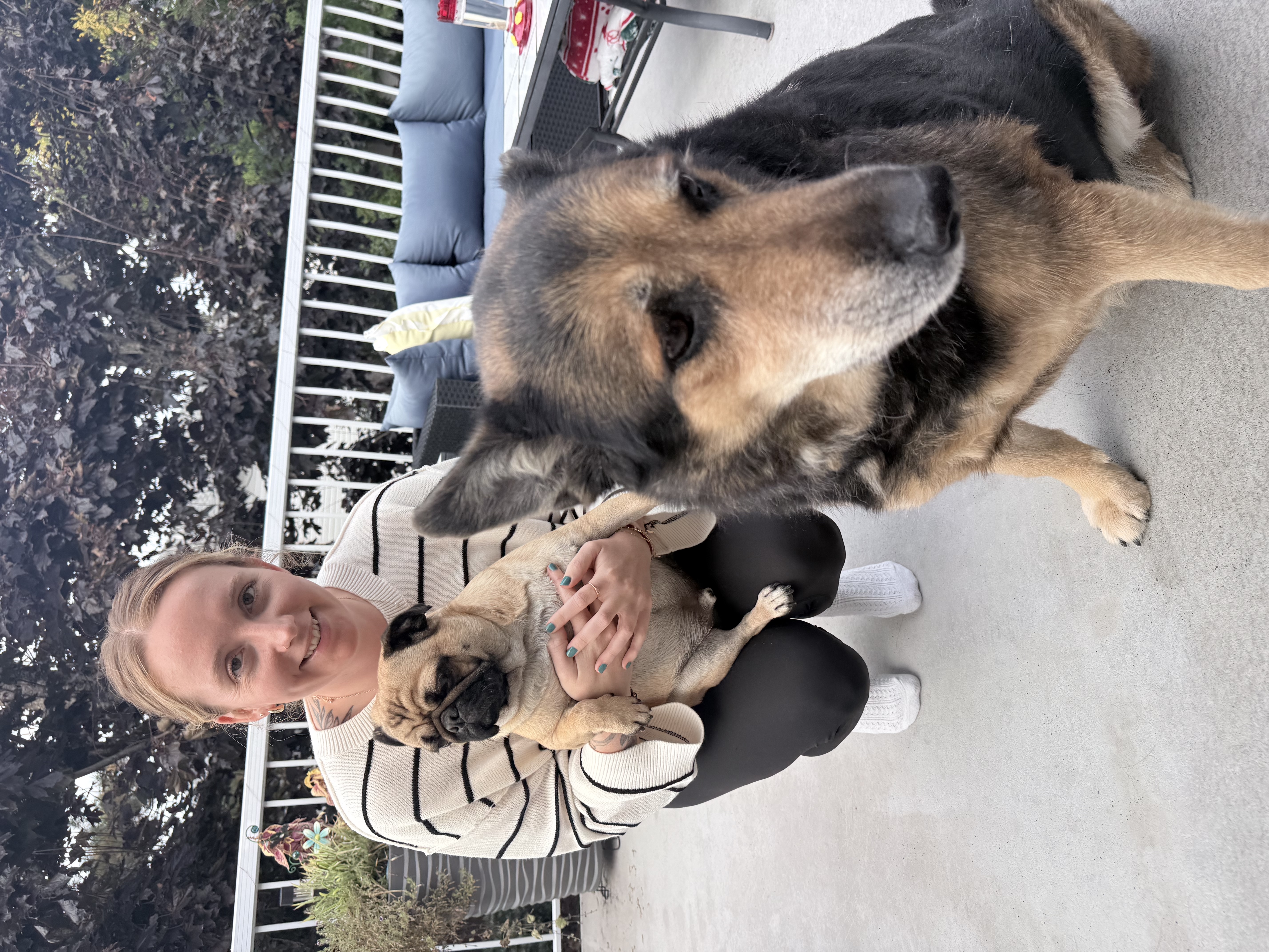 image-7
