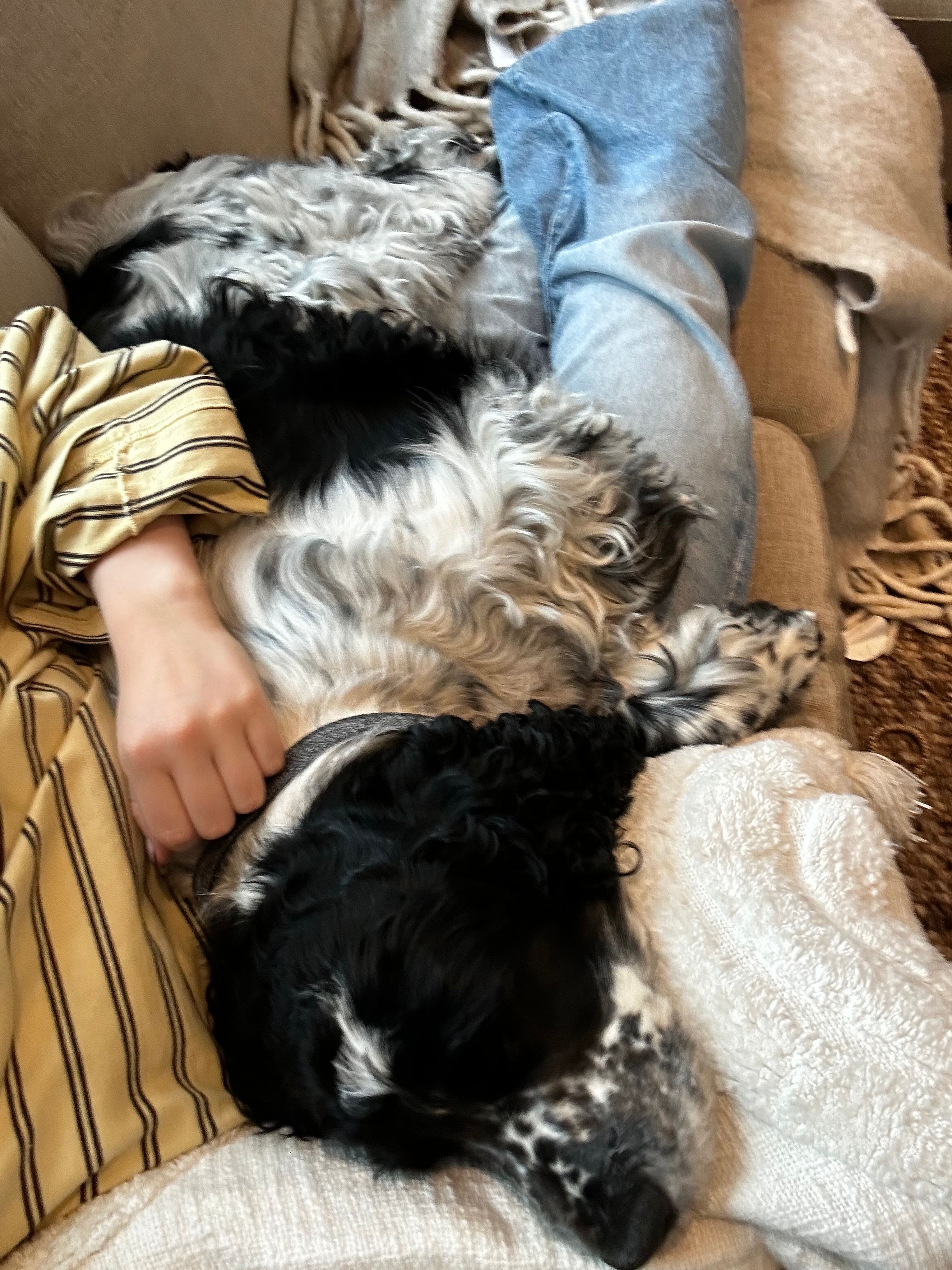 image-8