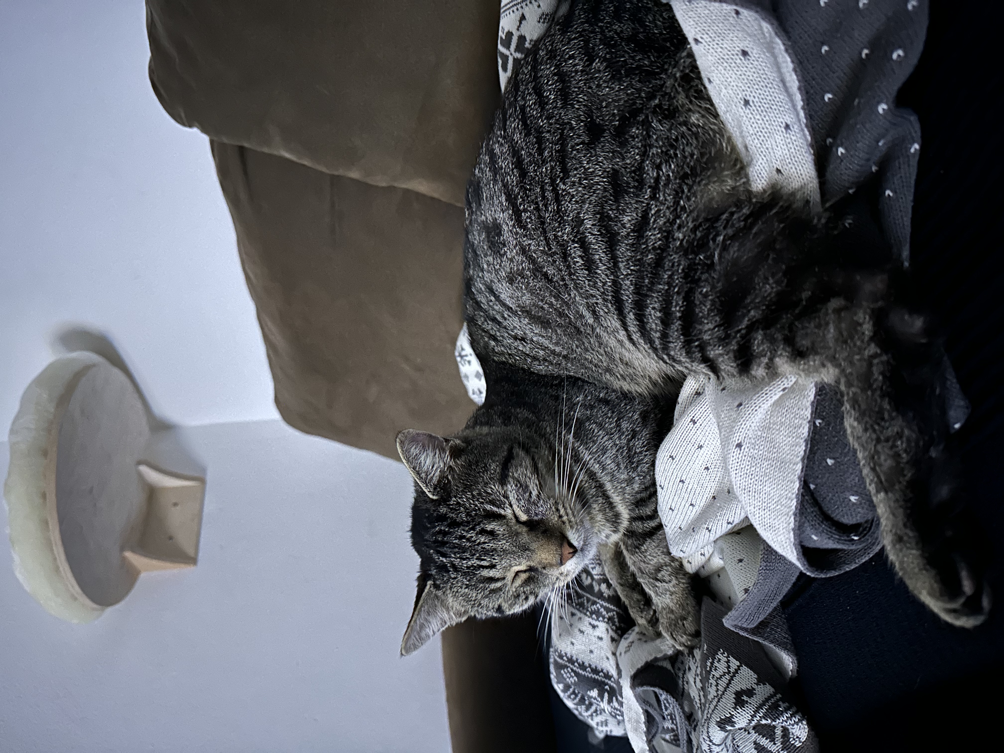 image-7