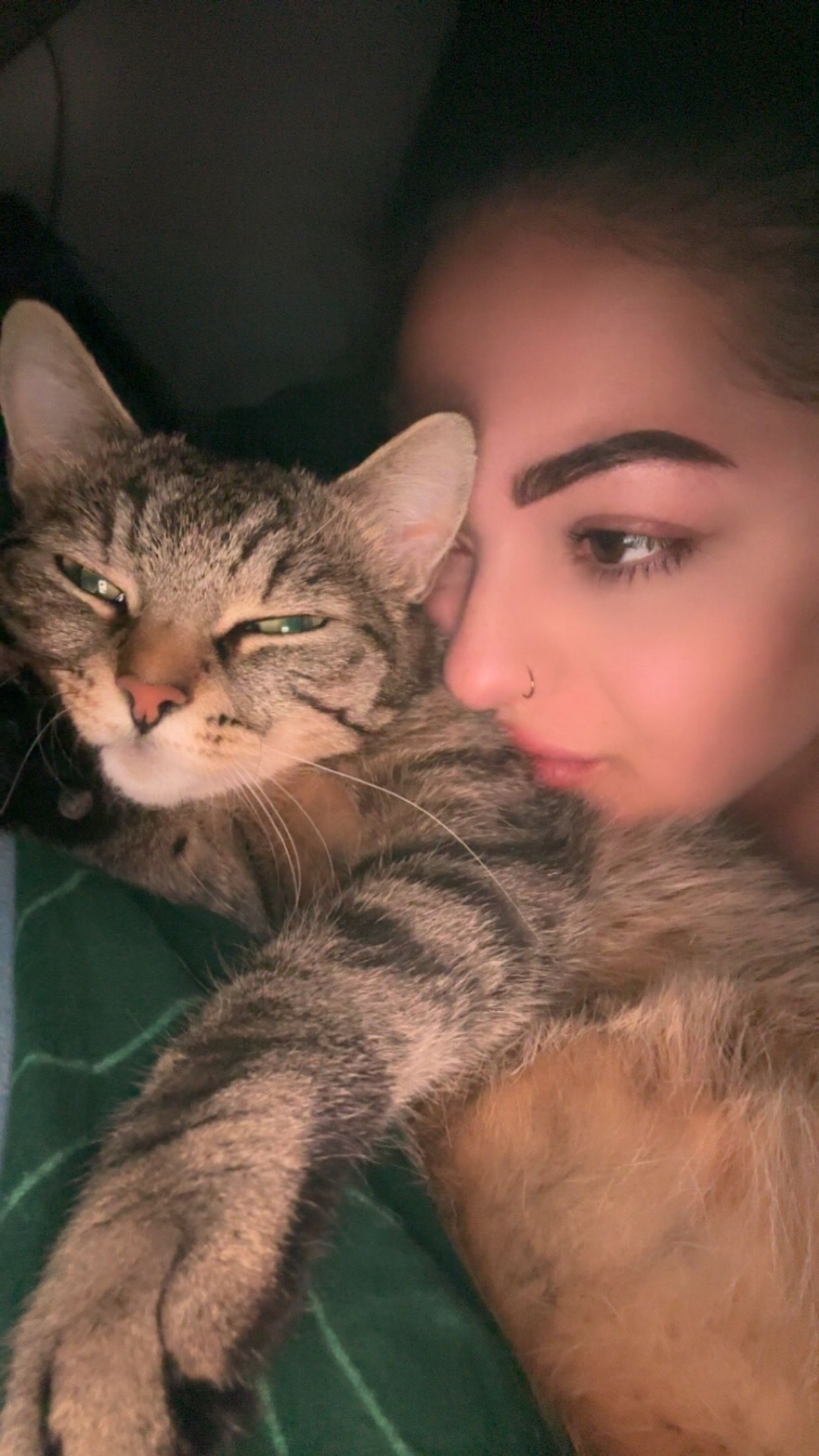 image-4