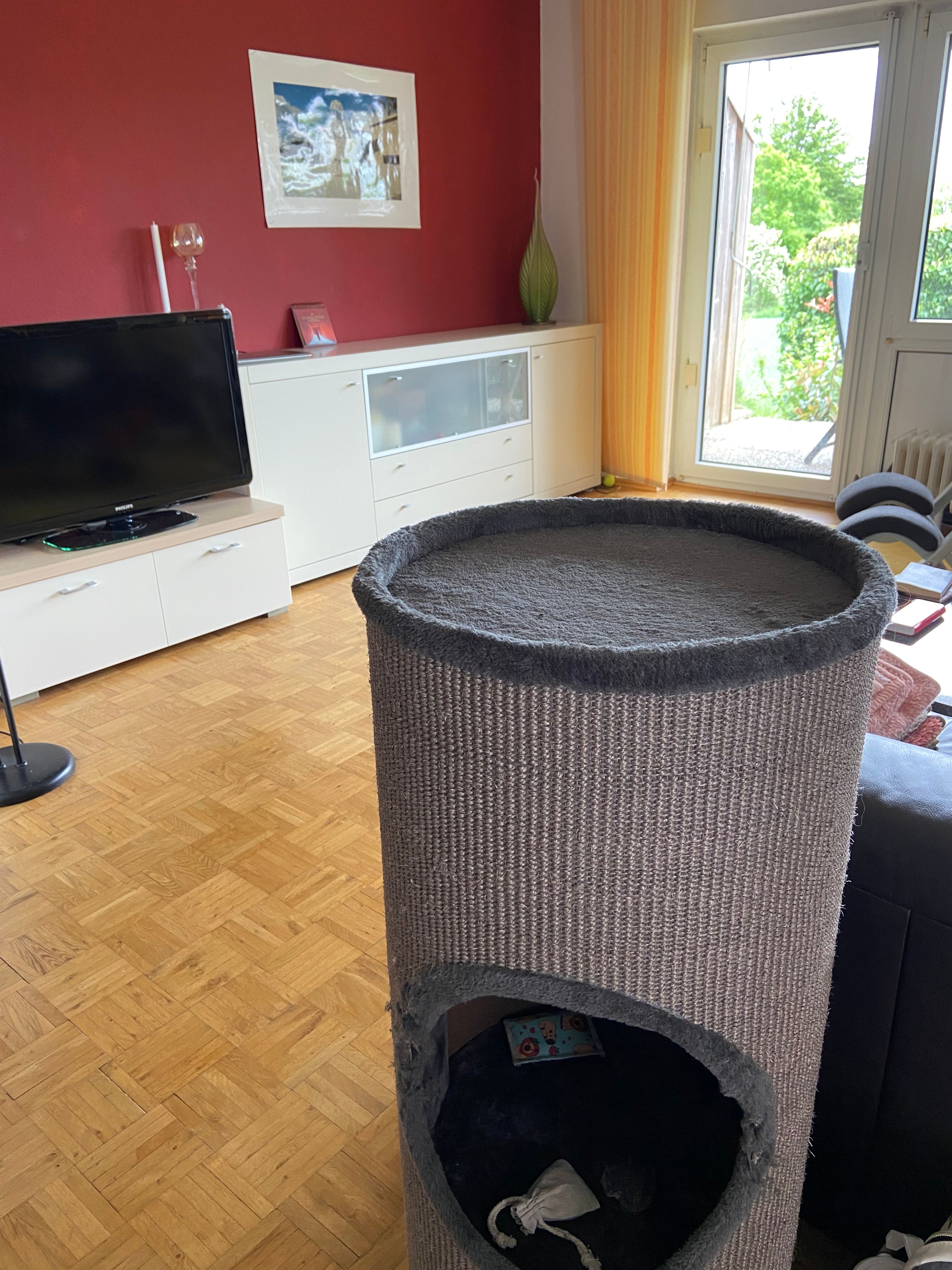 image-12