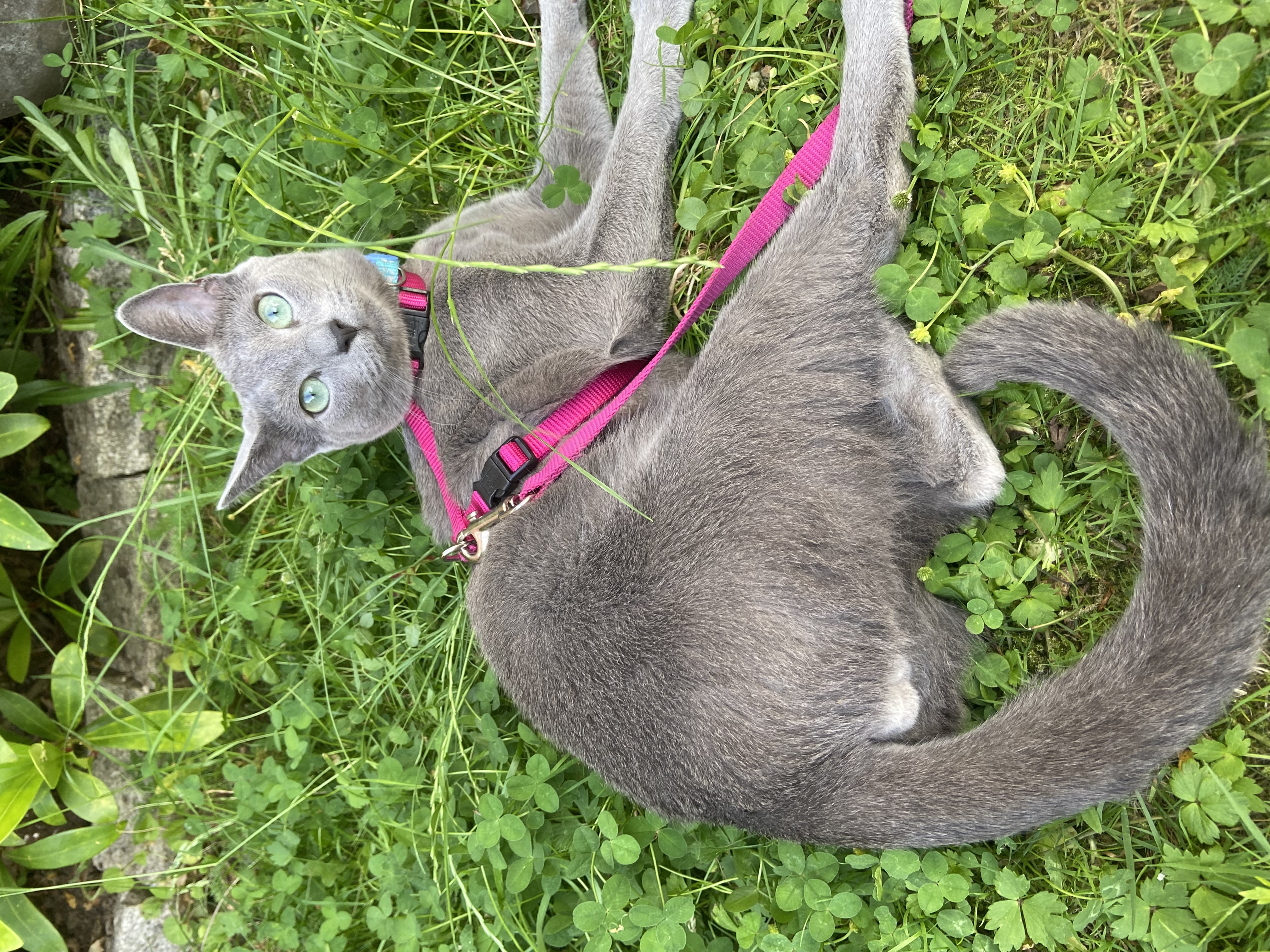 image-9
