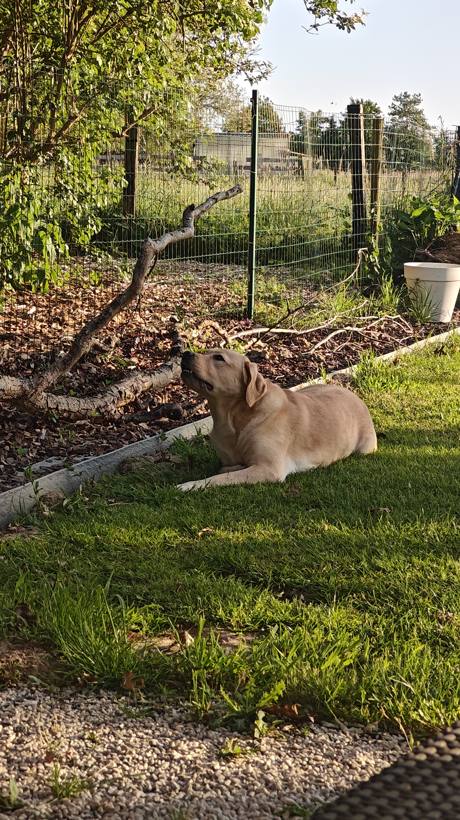 image-17