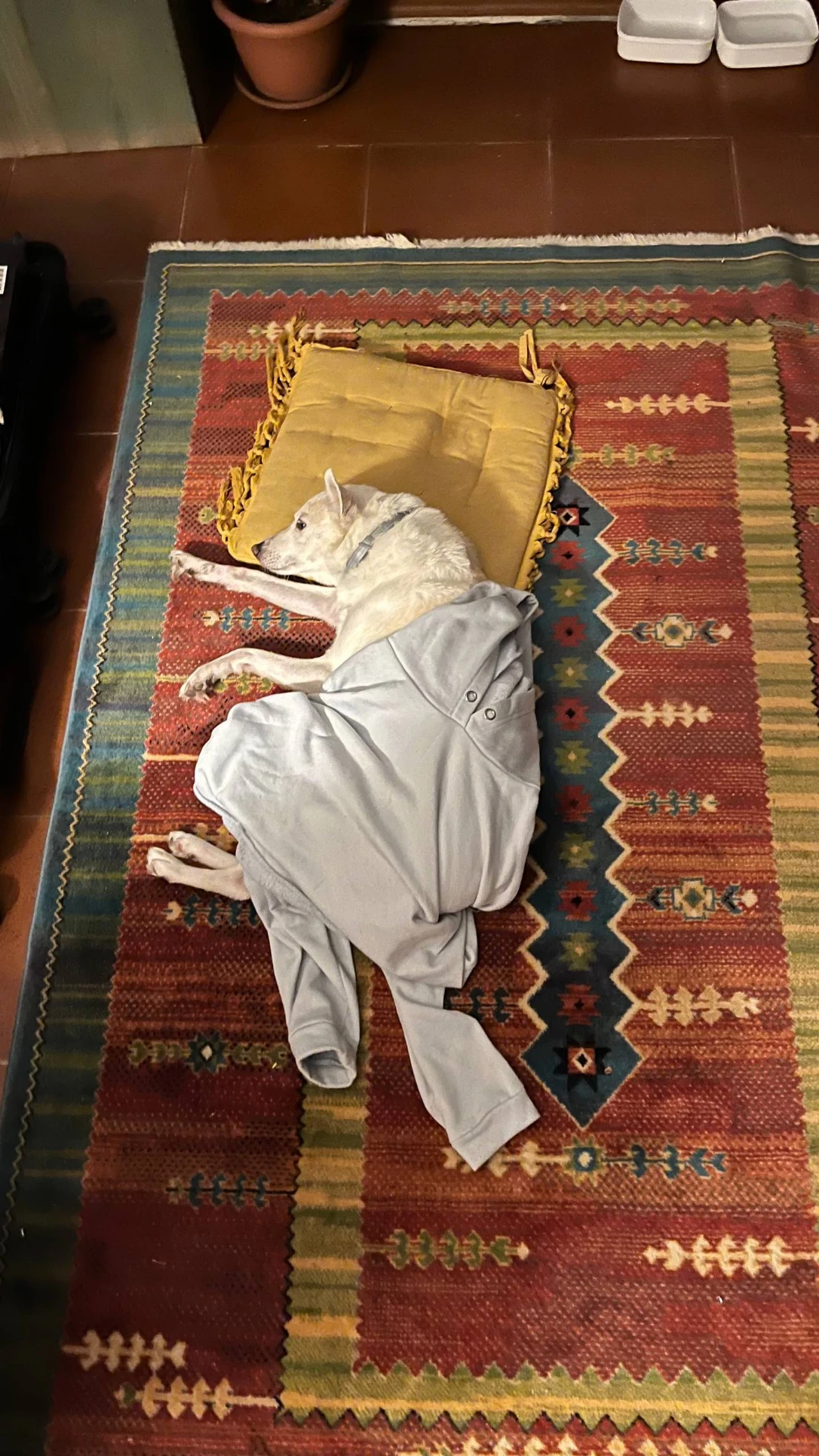 image-10