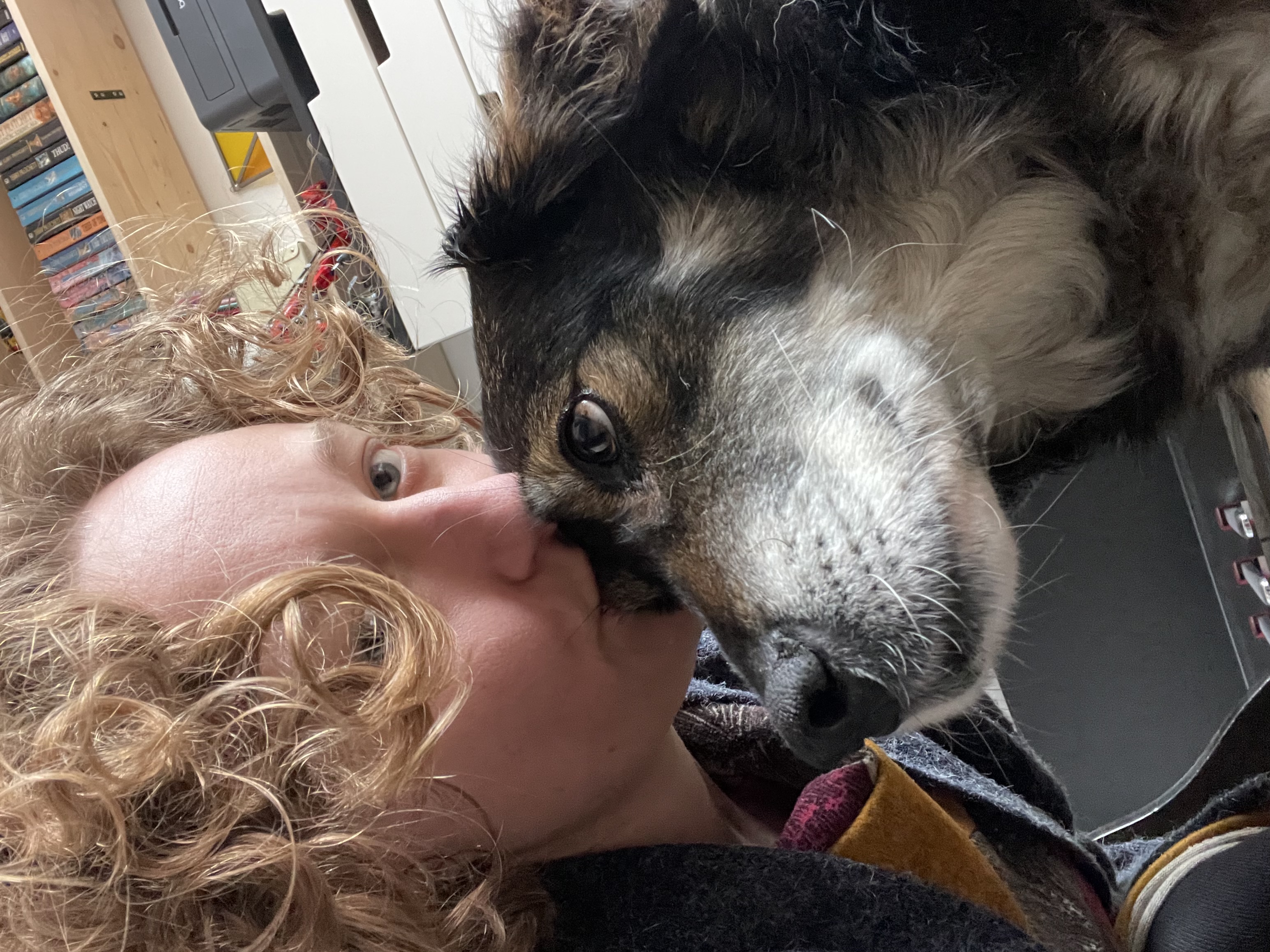 image-8