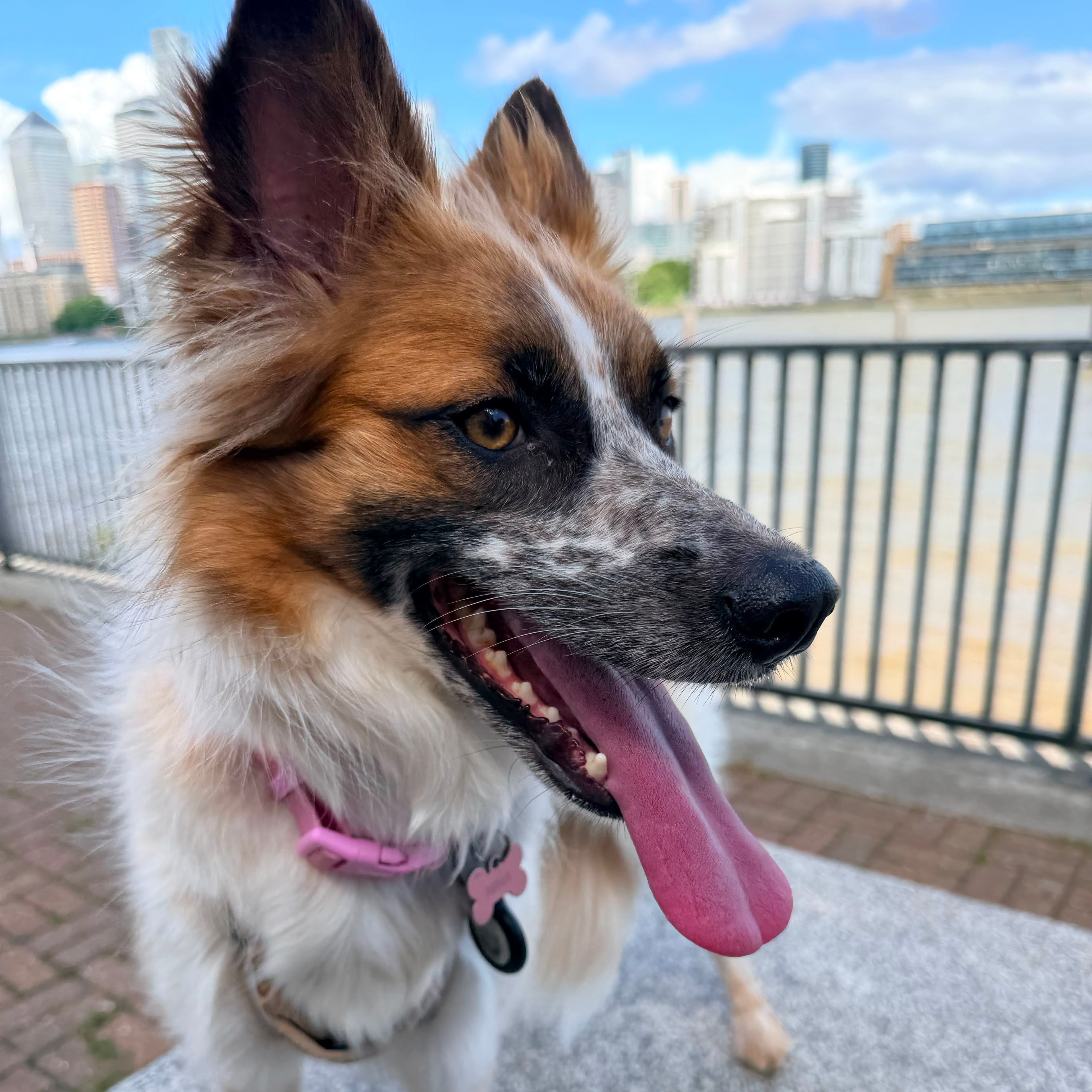 Nina