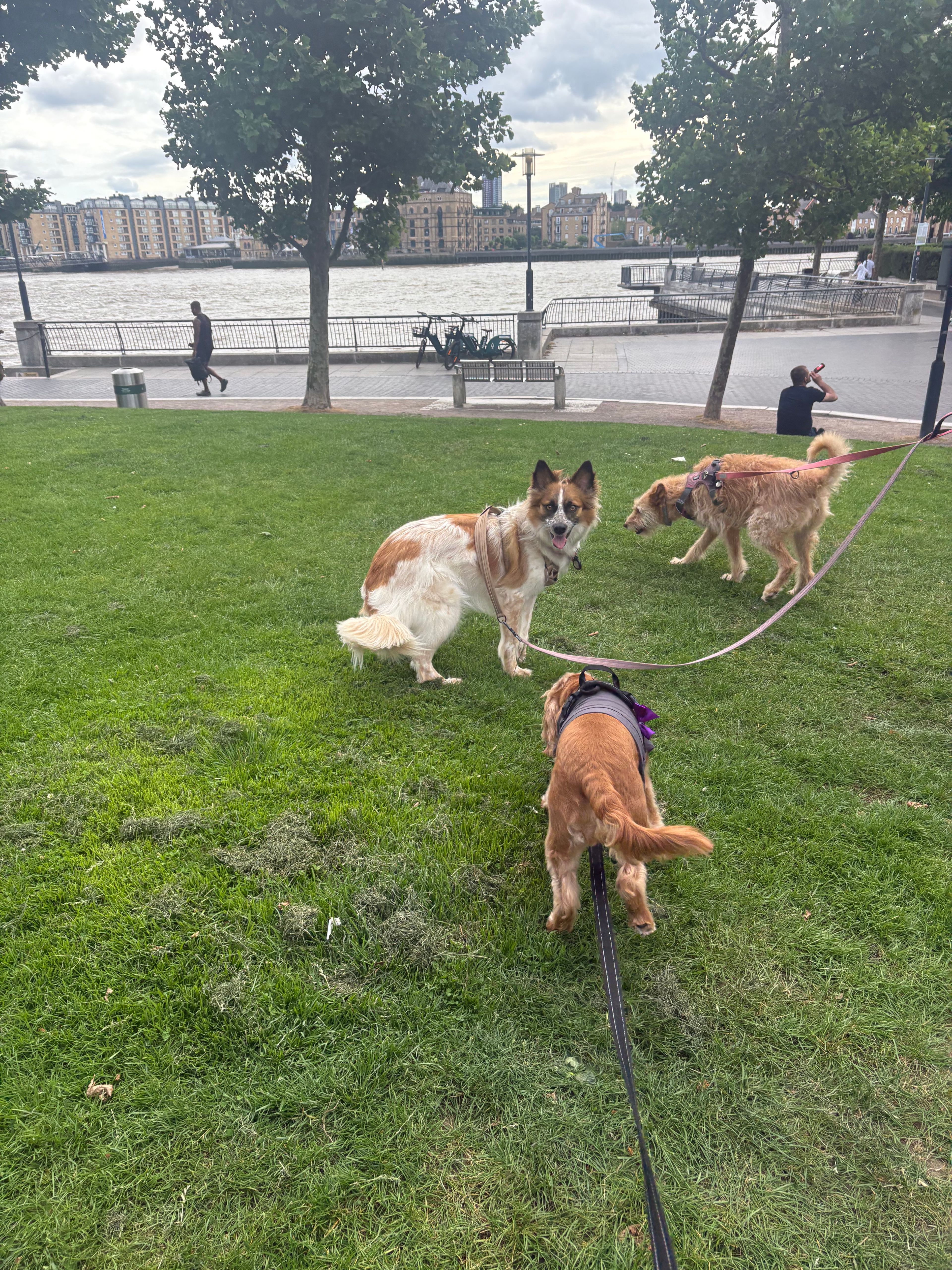 image-20
