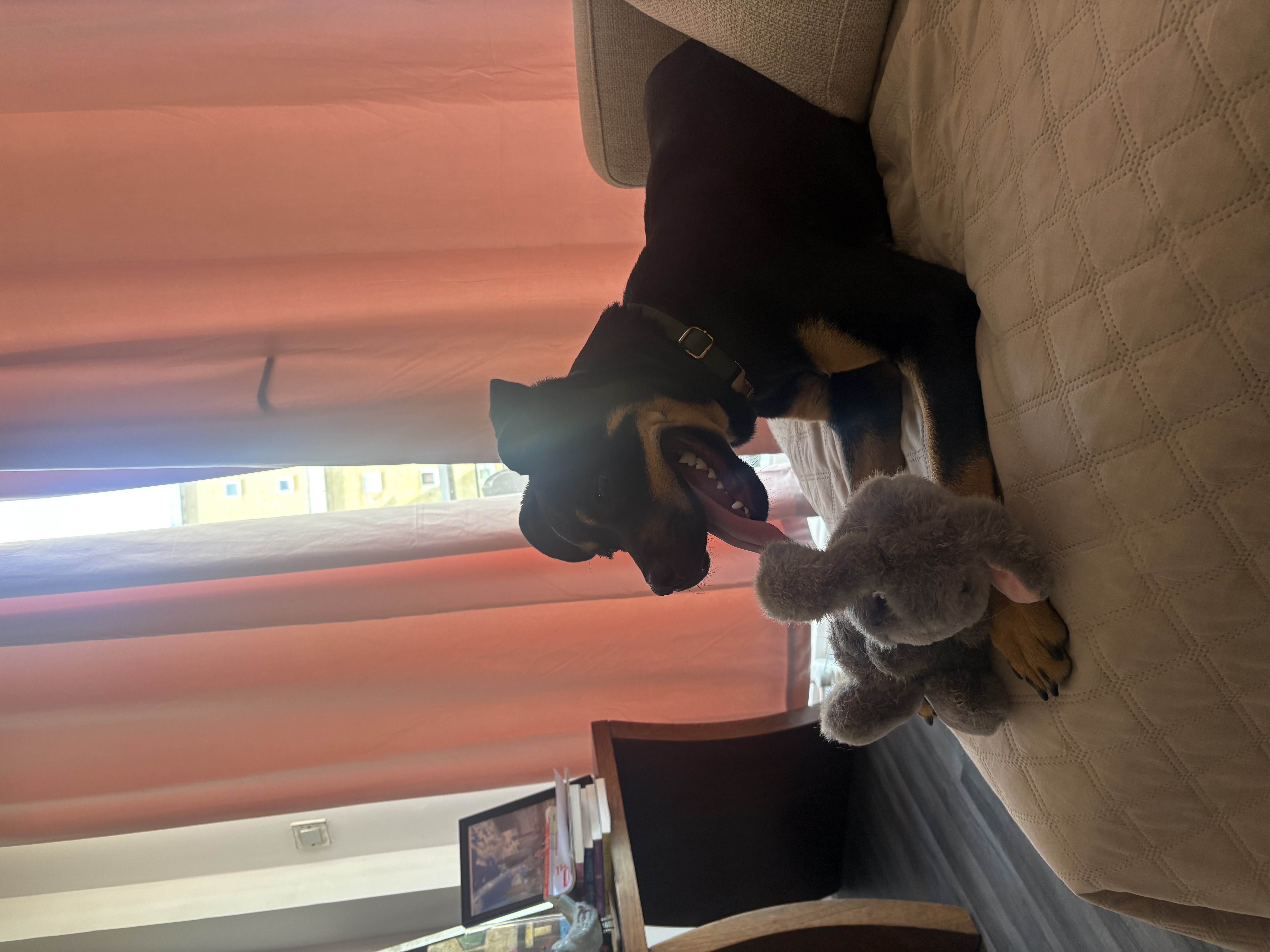 image-10