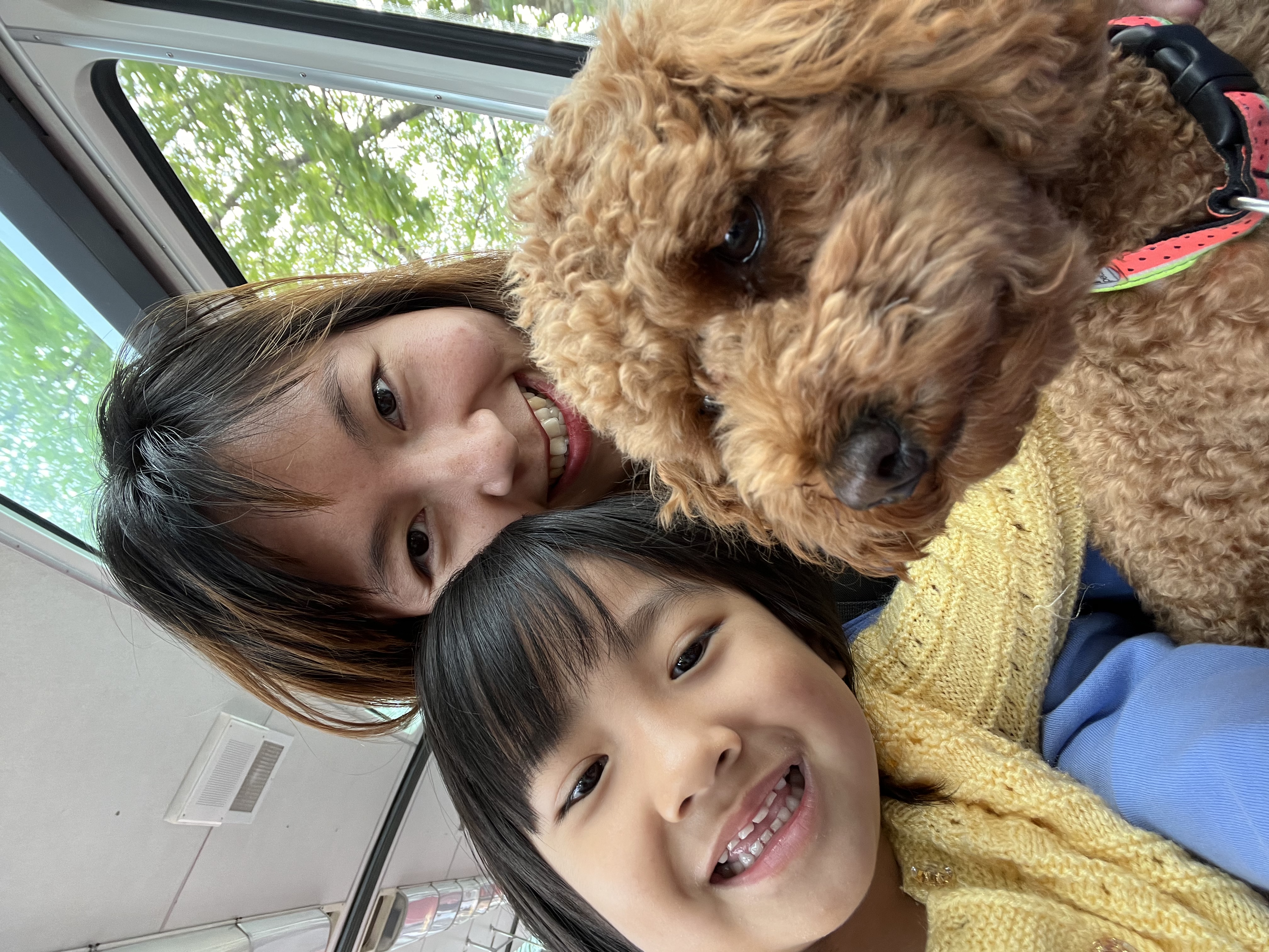 image-4