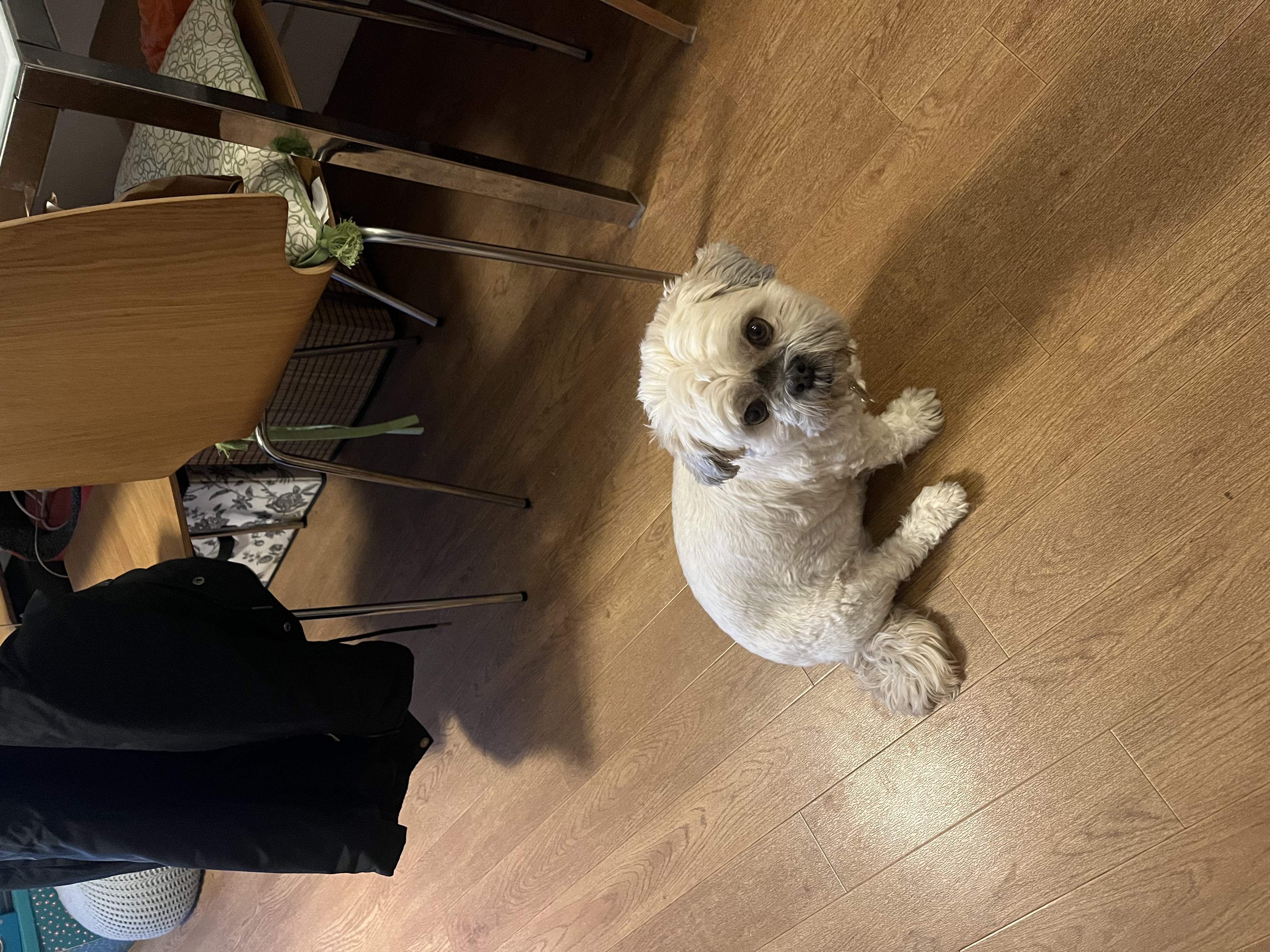 image-7