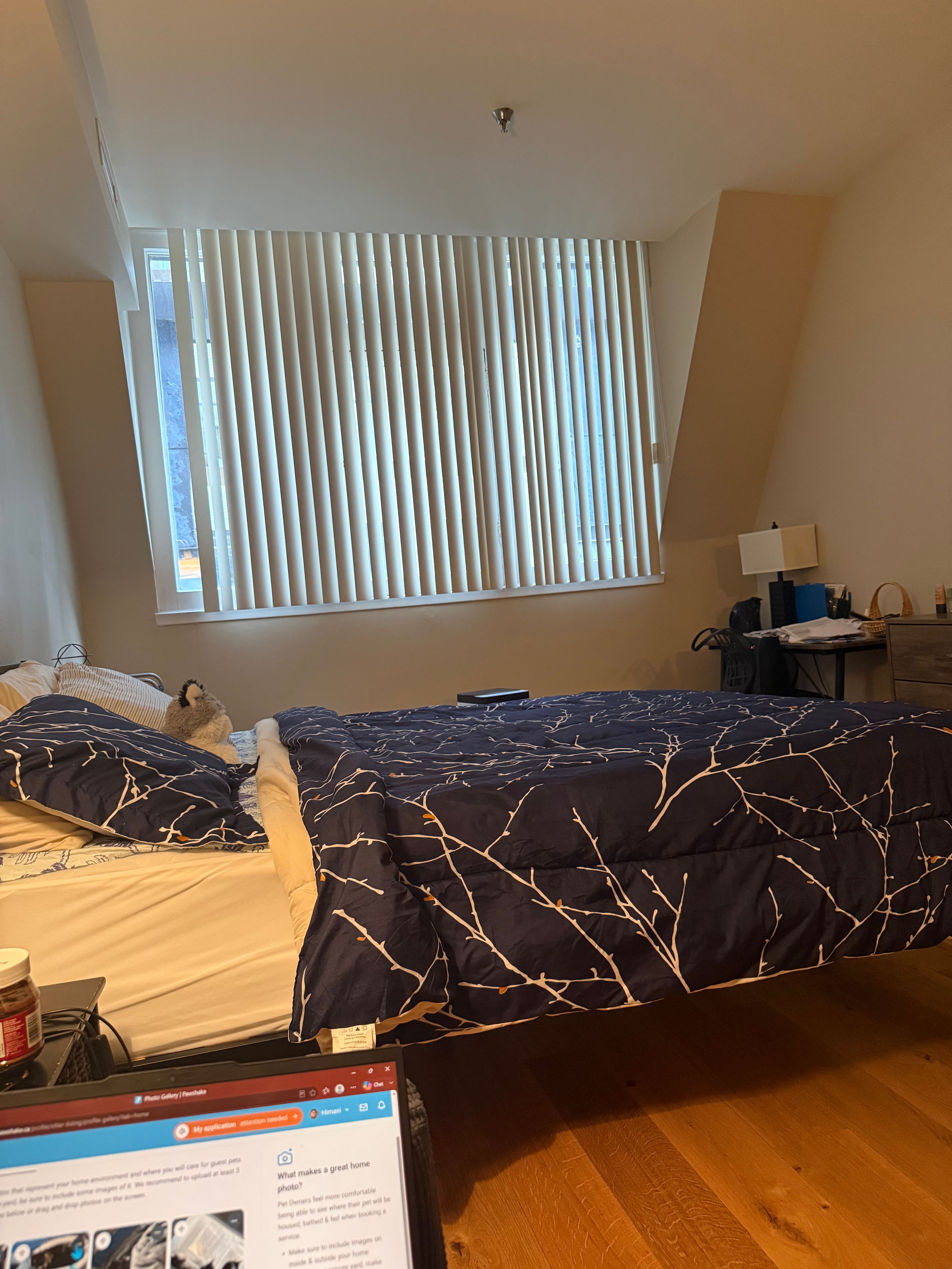 image-11