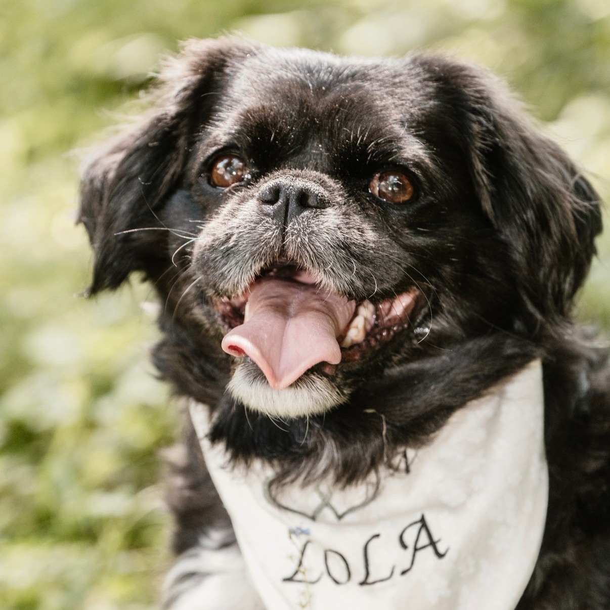 Lola