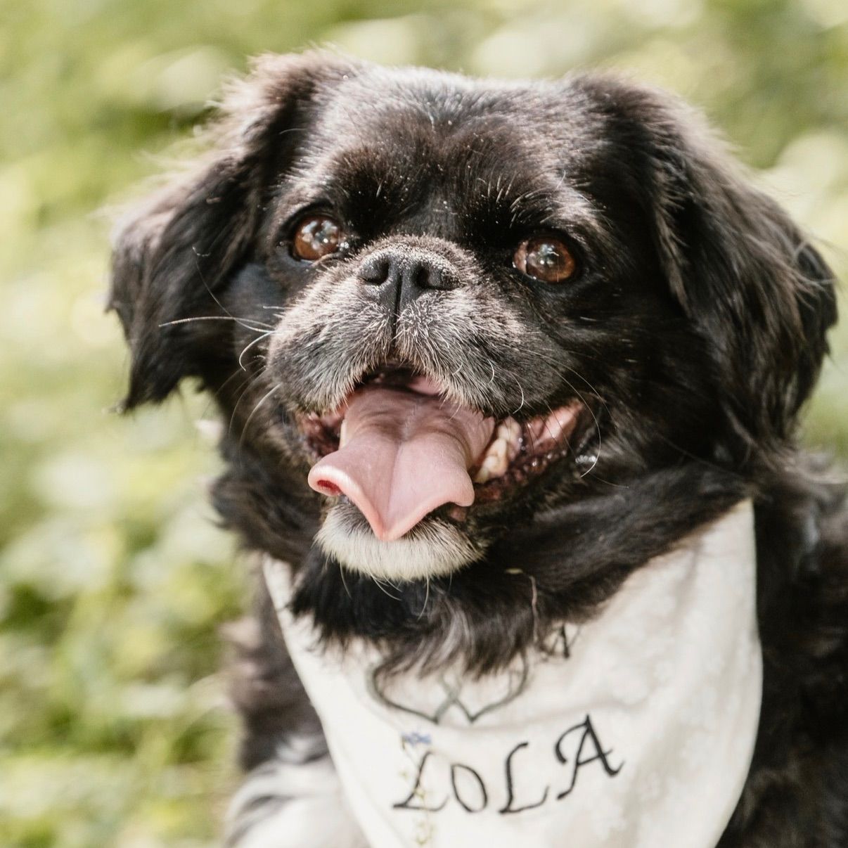 Lola