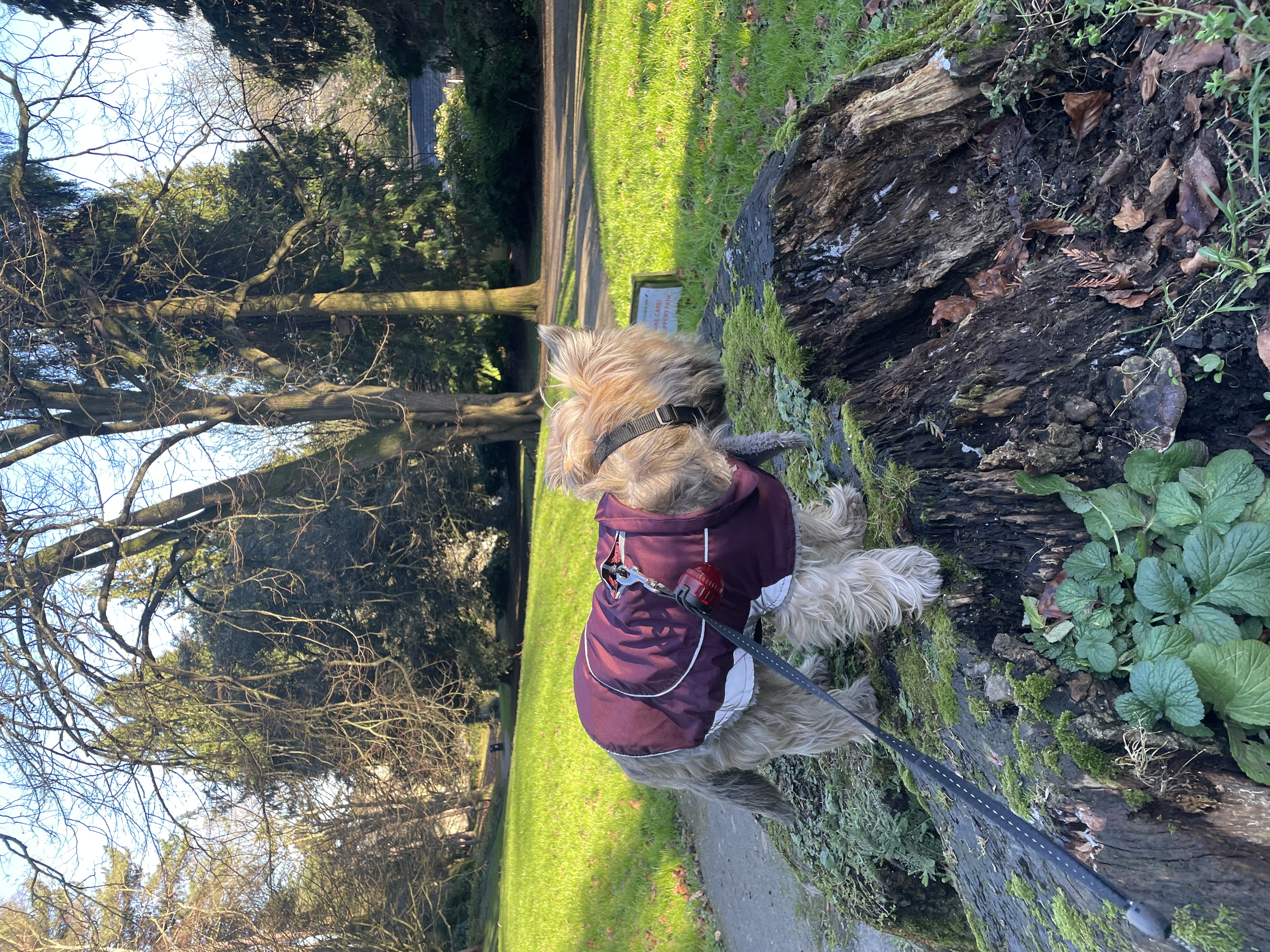 image-6