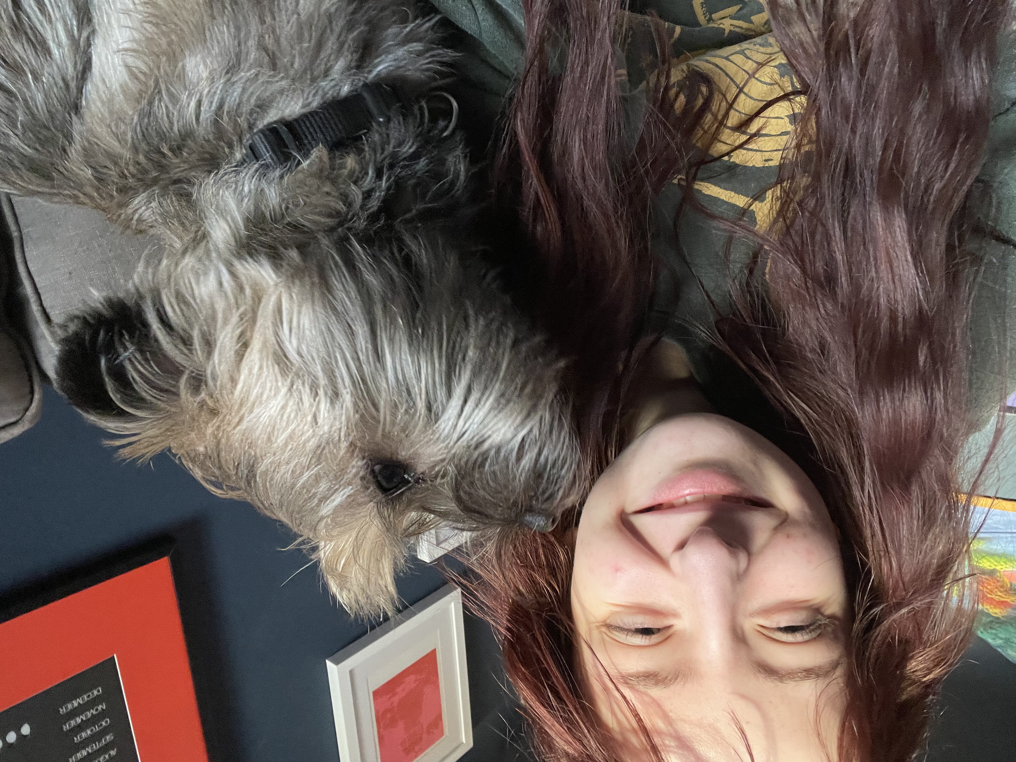 image-4