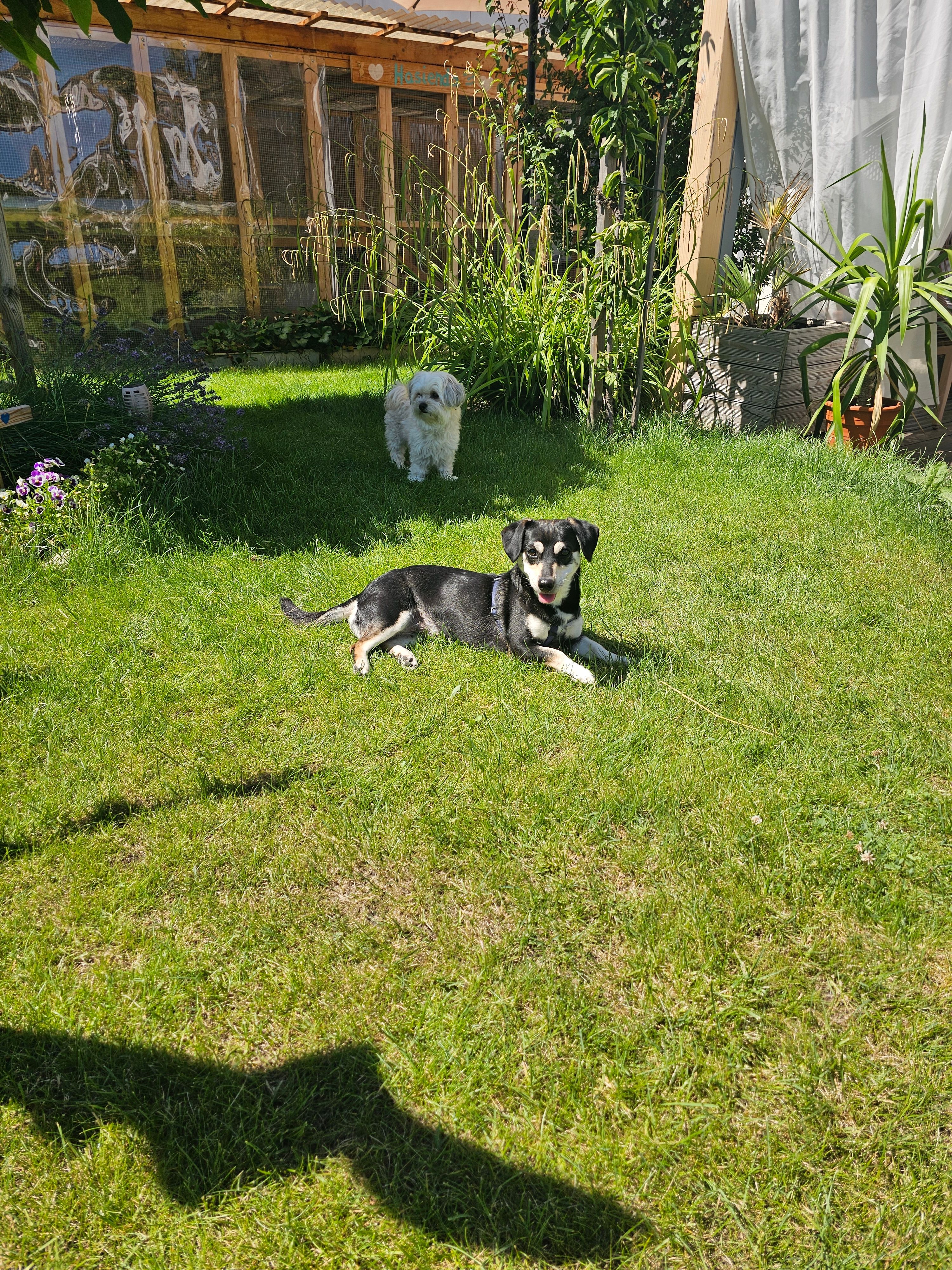 image-15