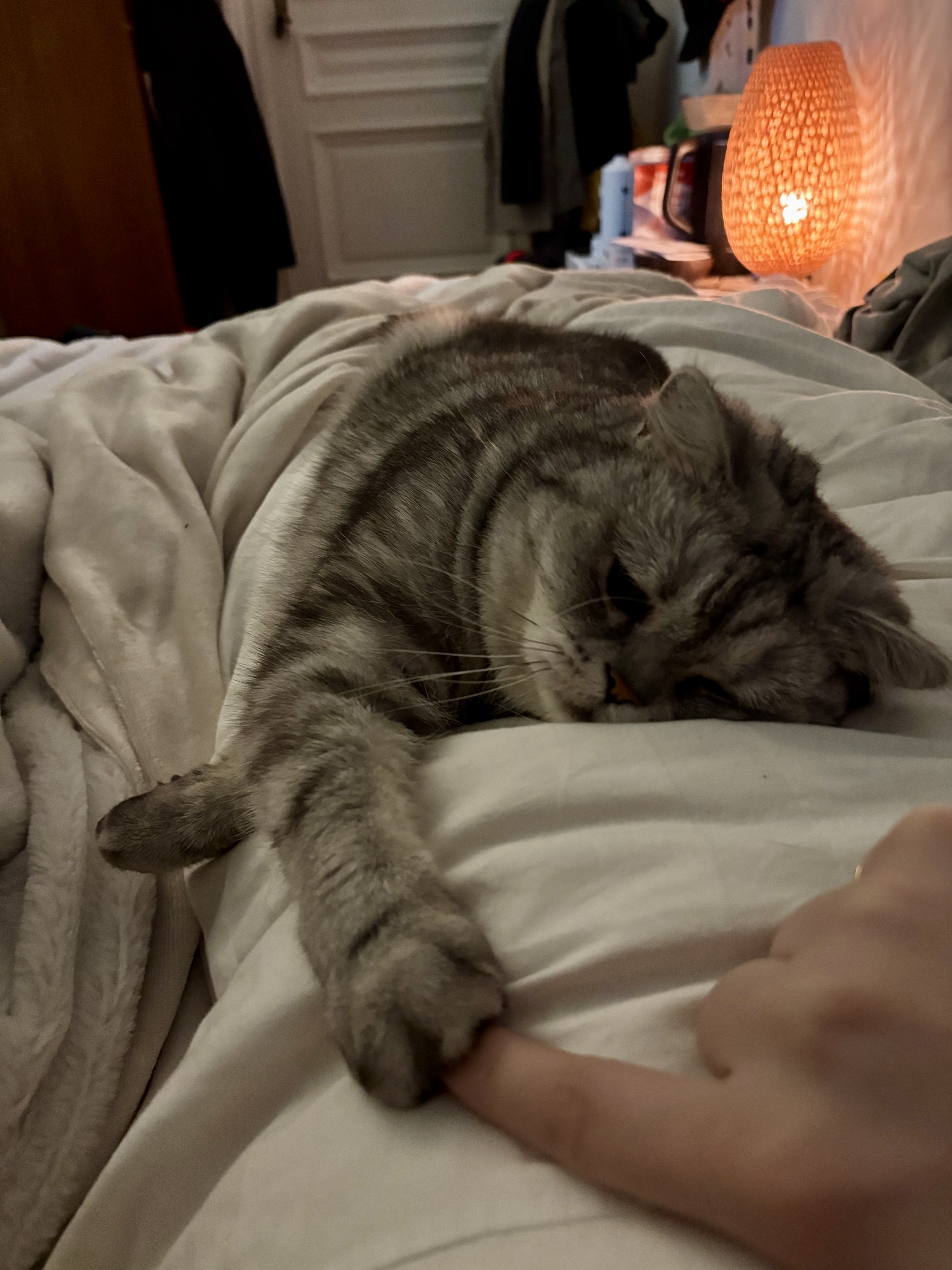 image-11