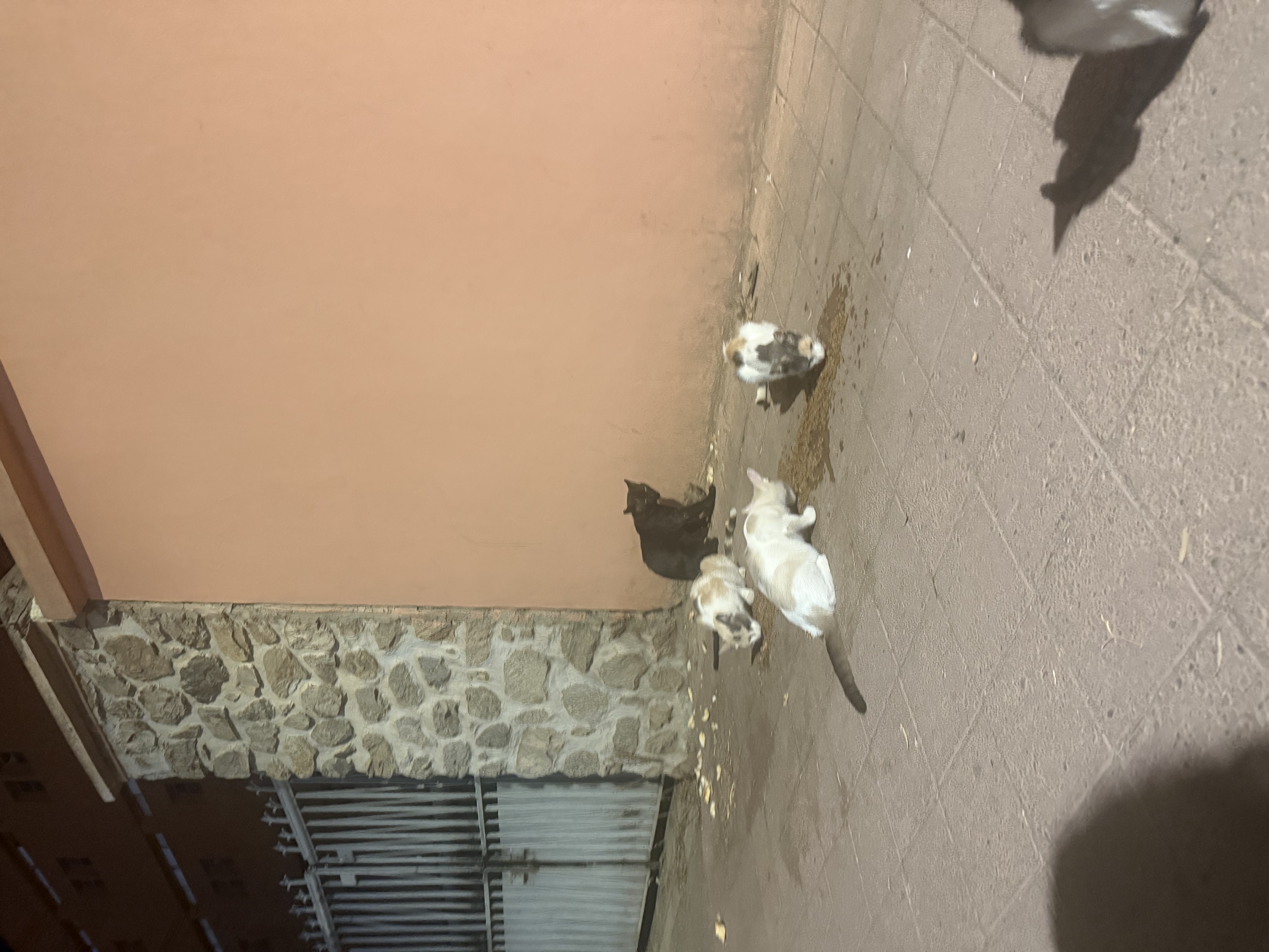 image-10
