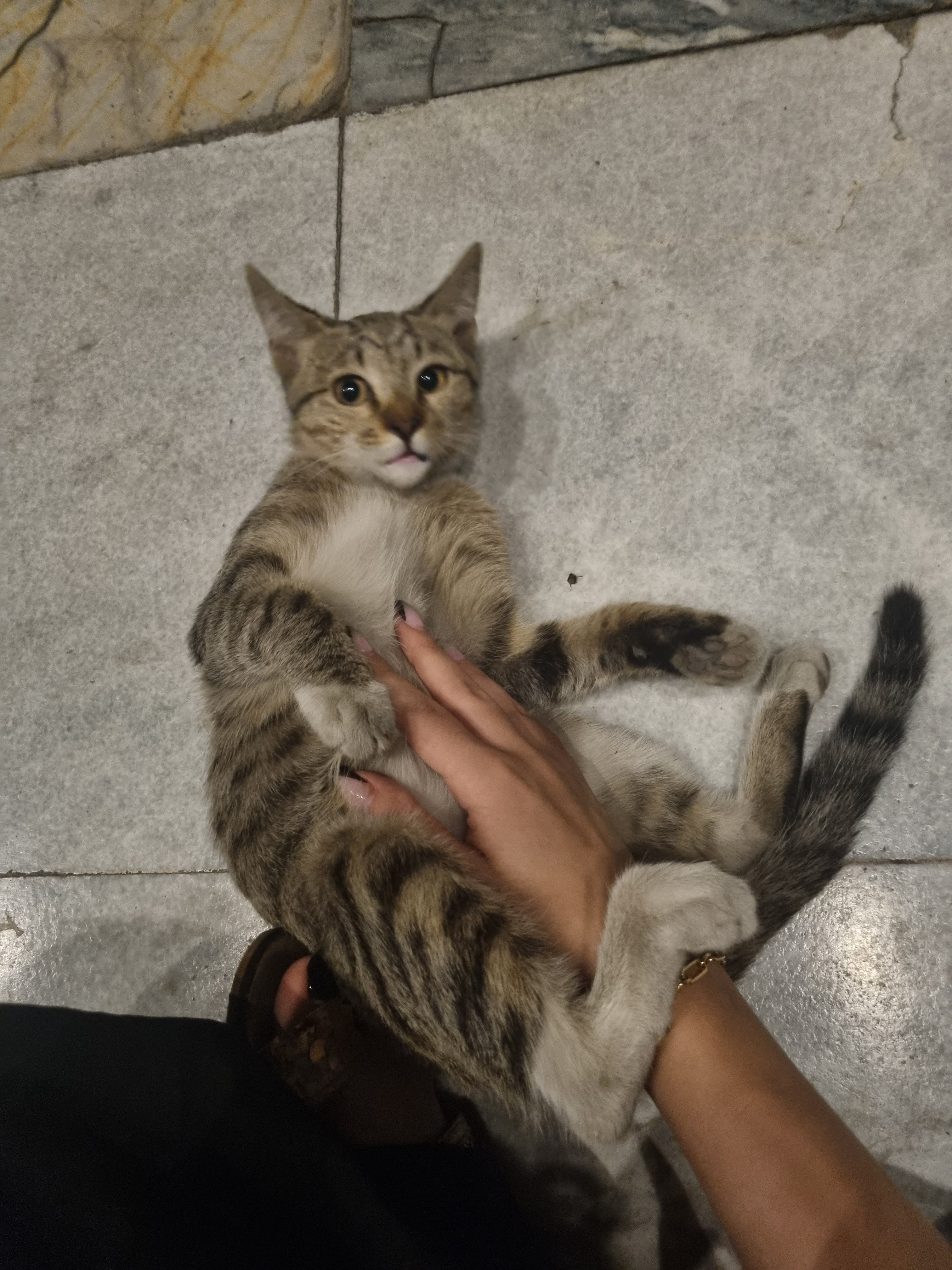 image-8
