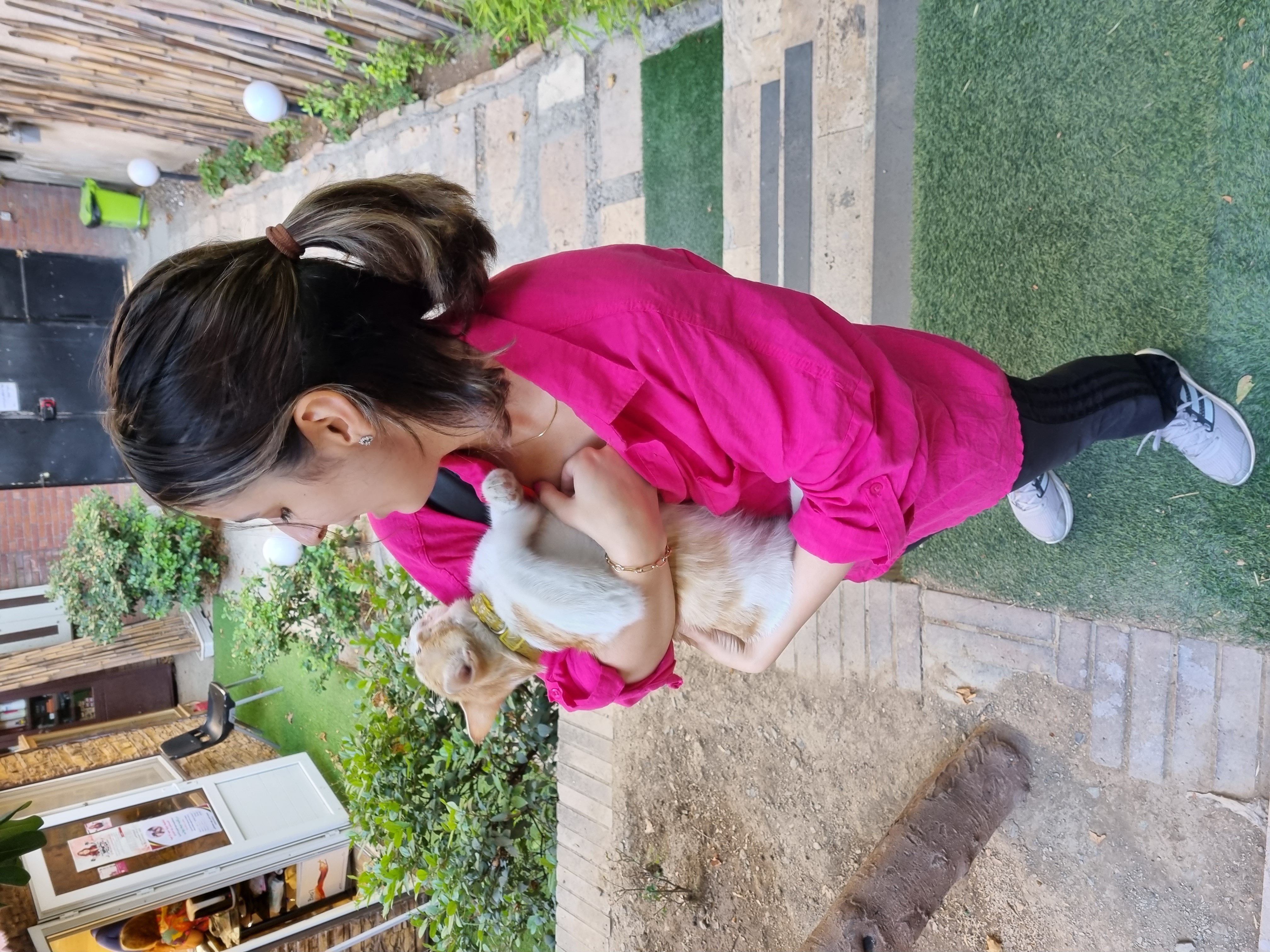image-7