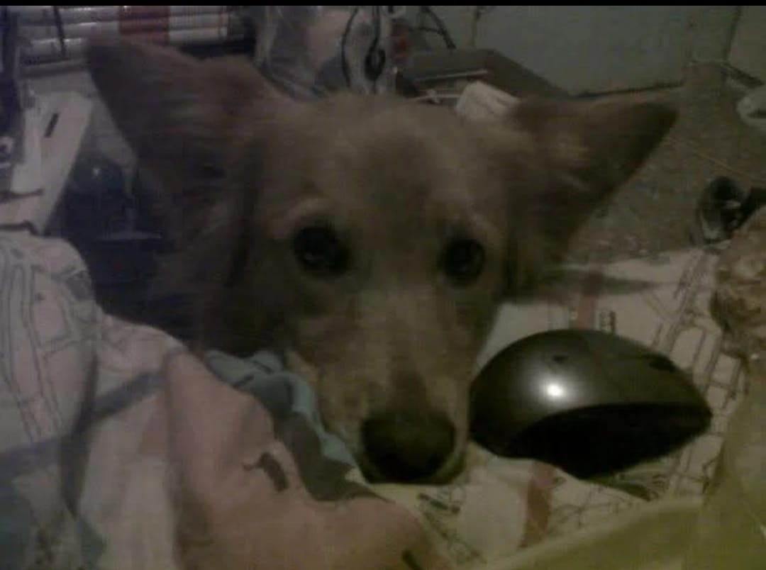 image-6