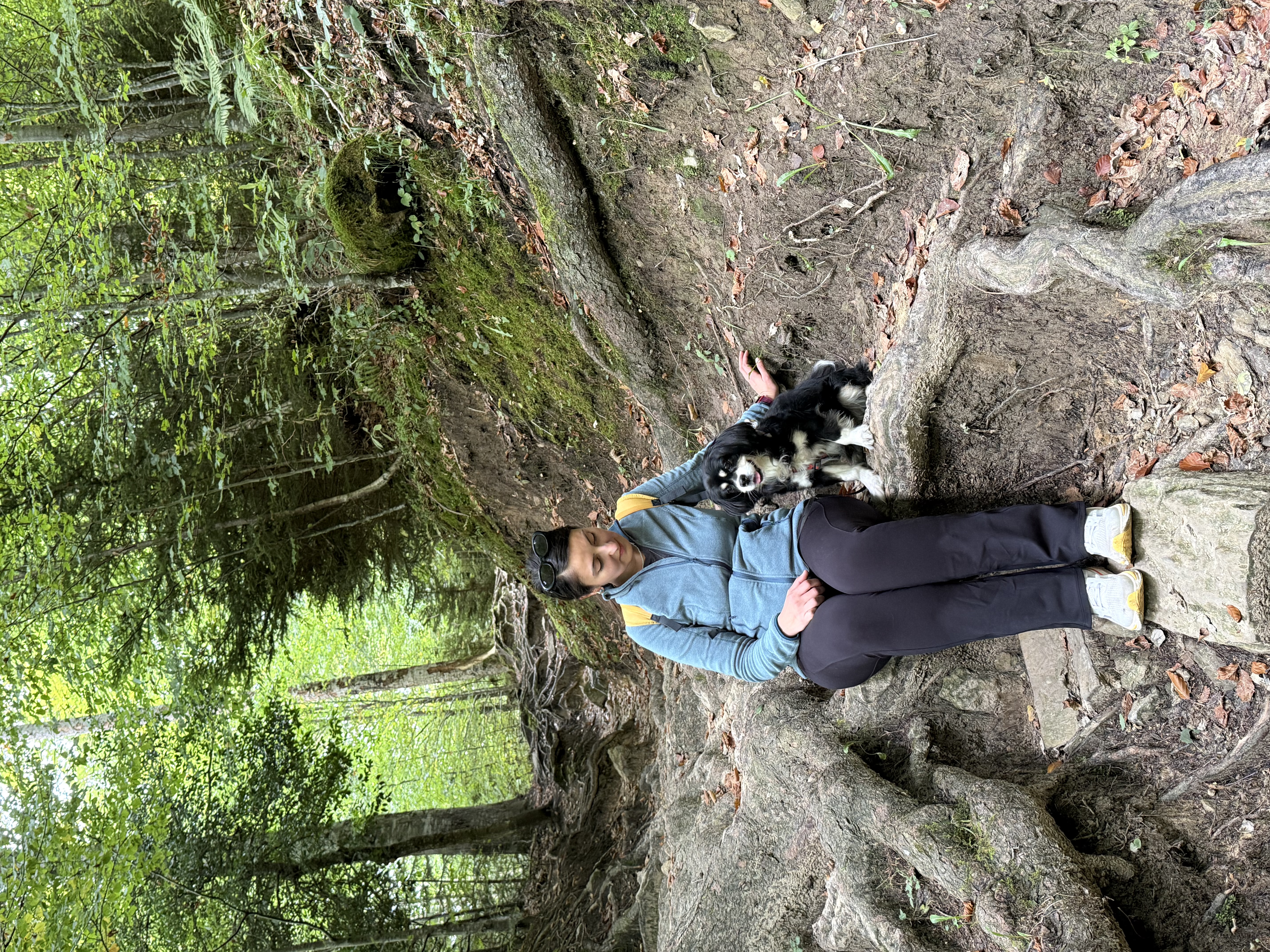 image-5
