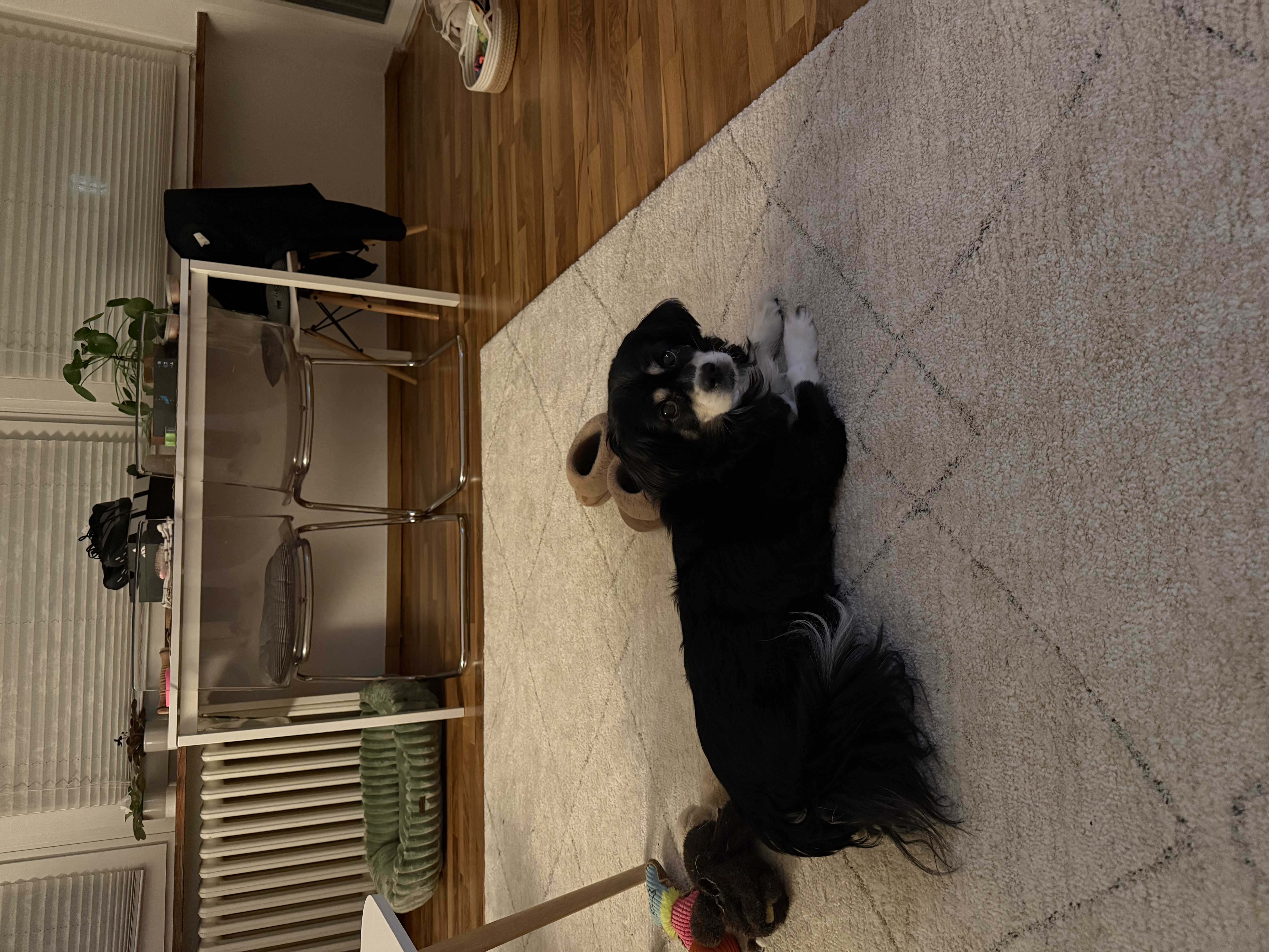 image-6