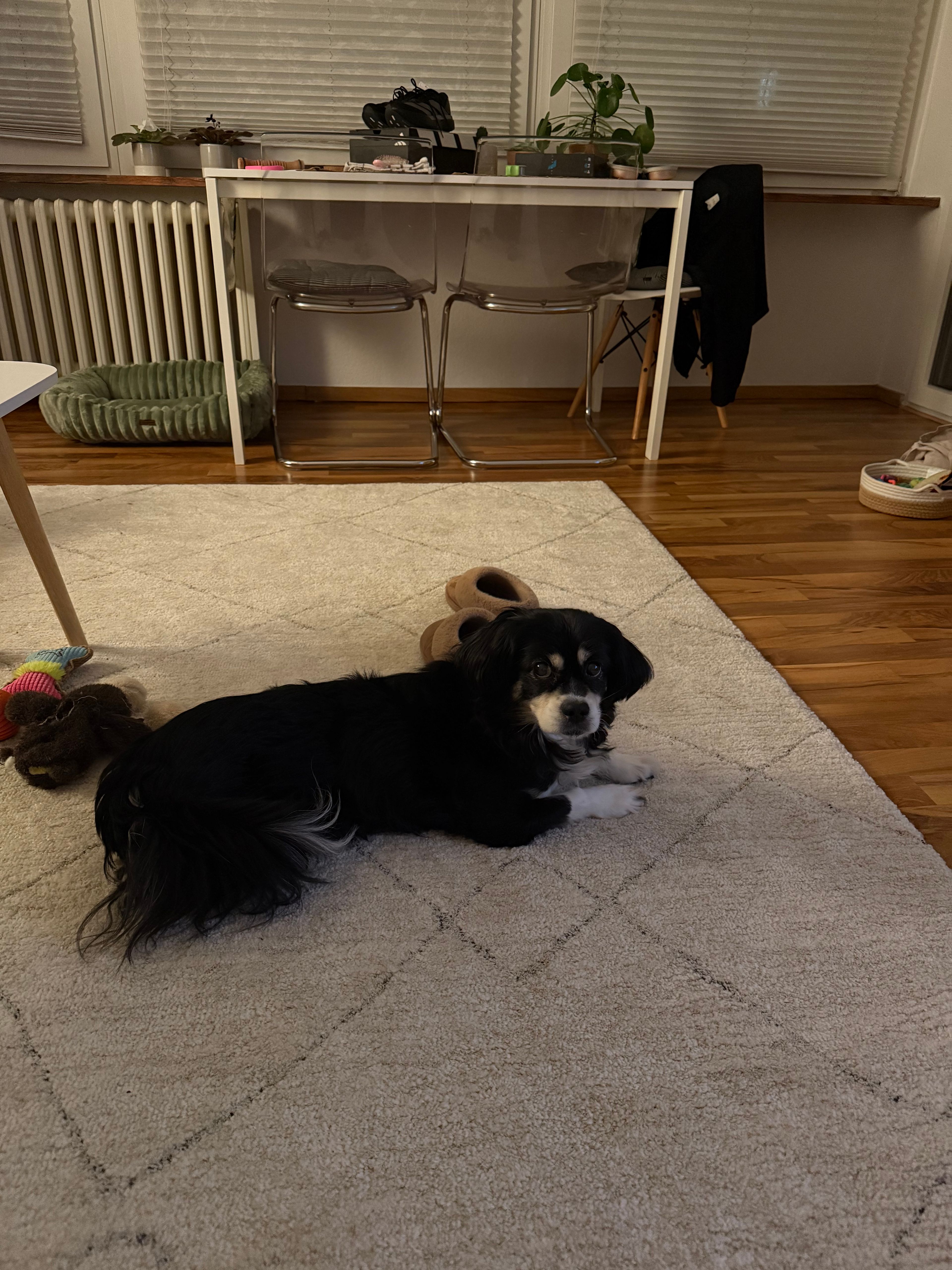image-6