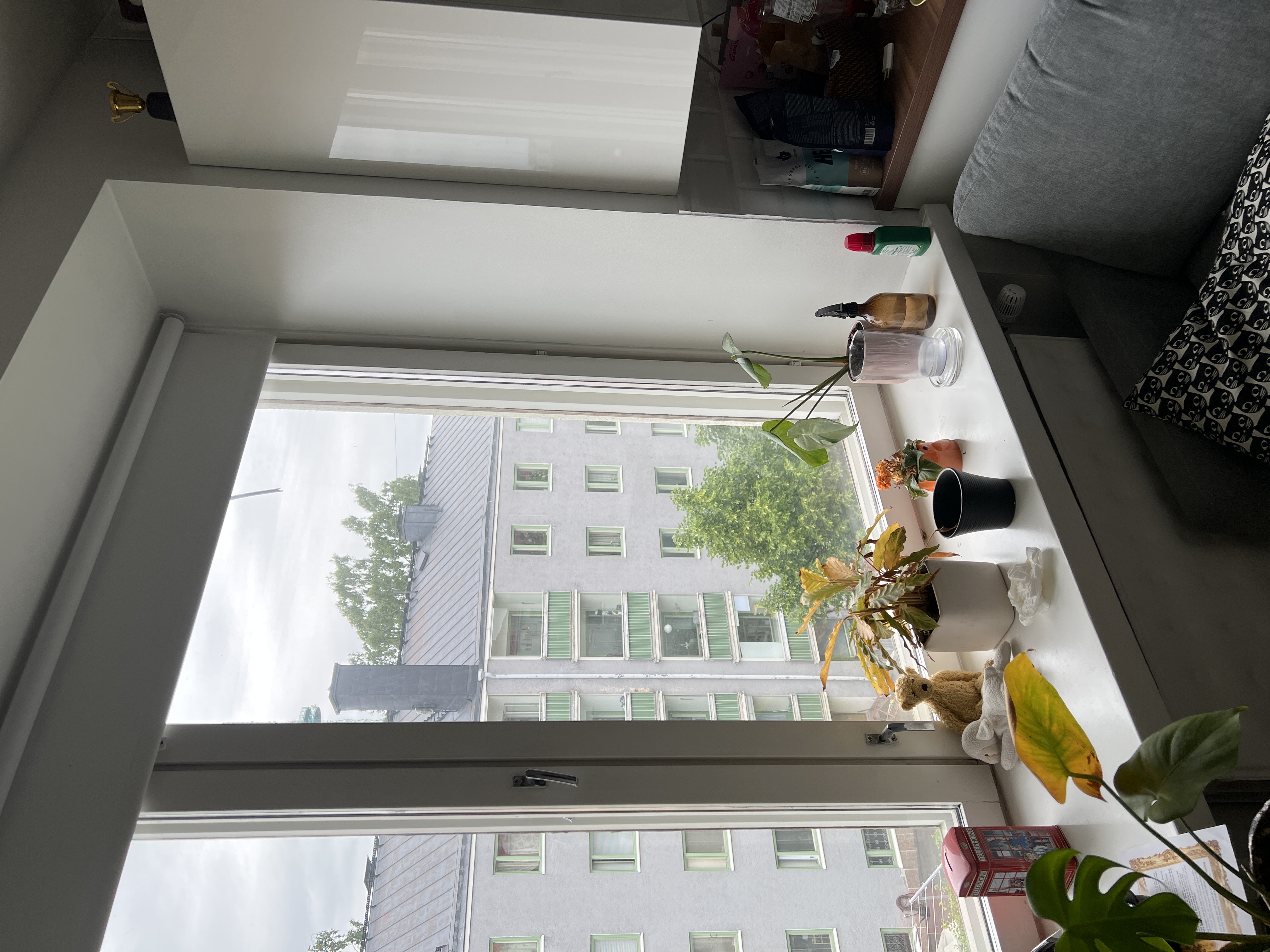 image-8