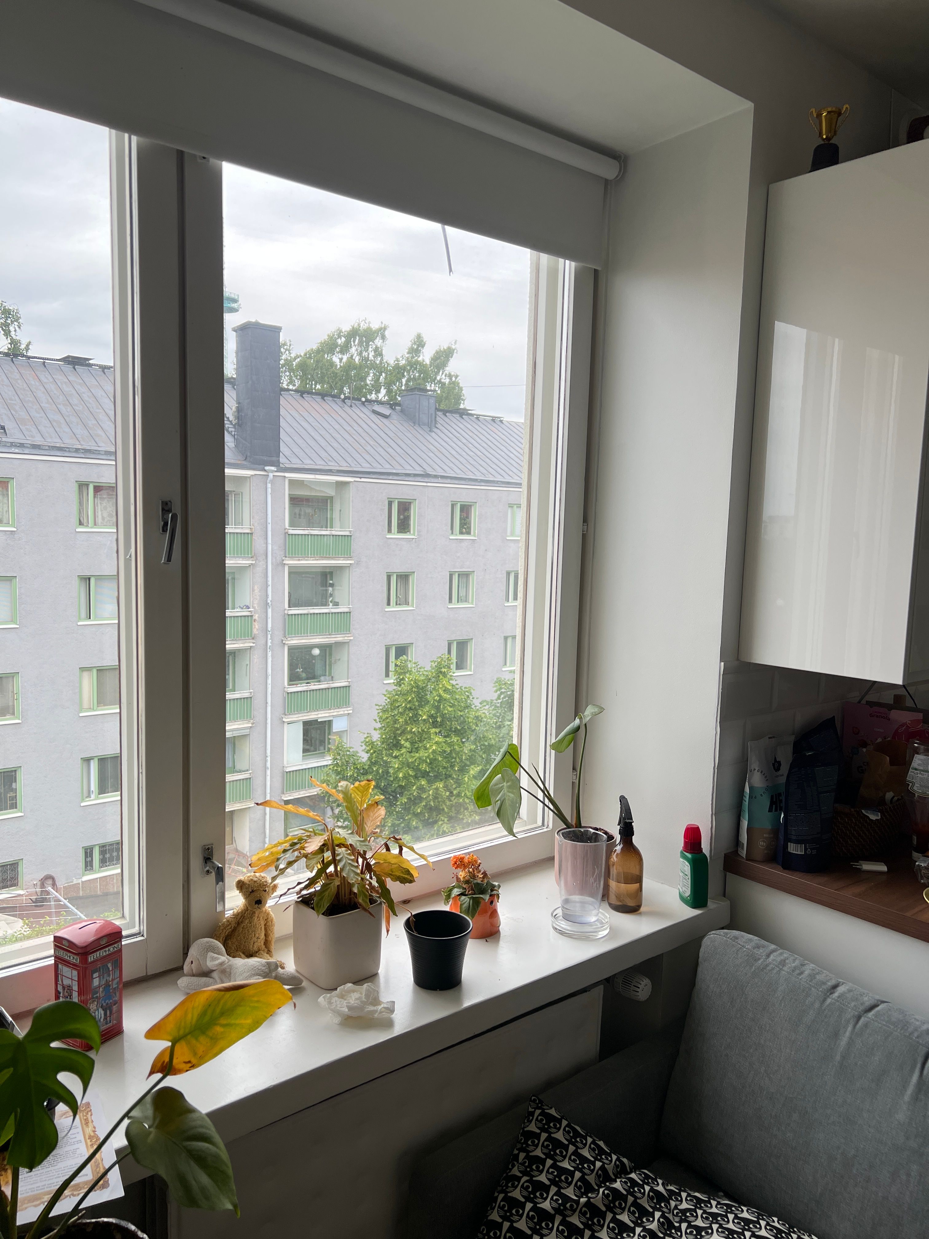 image-8