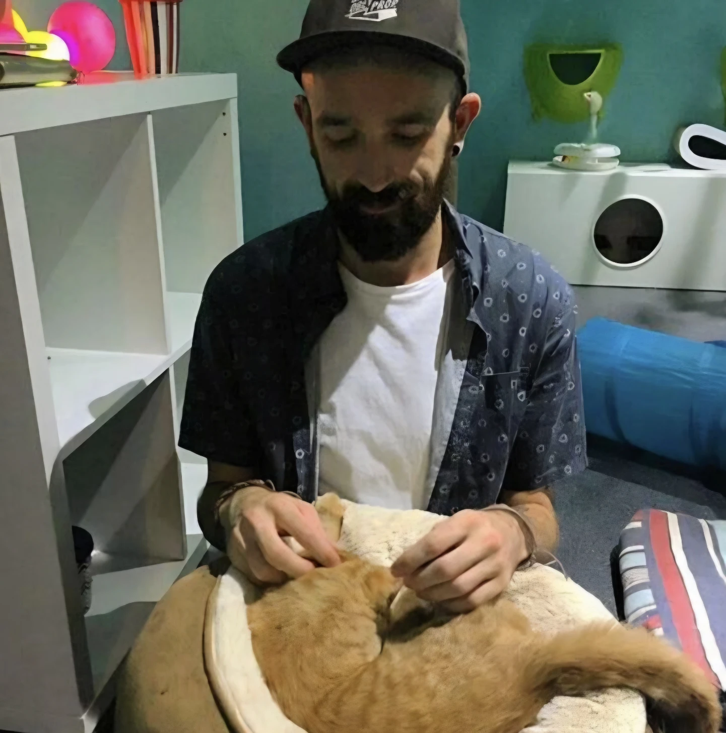 image-8