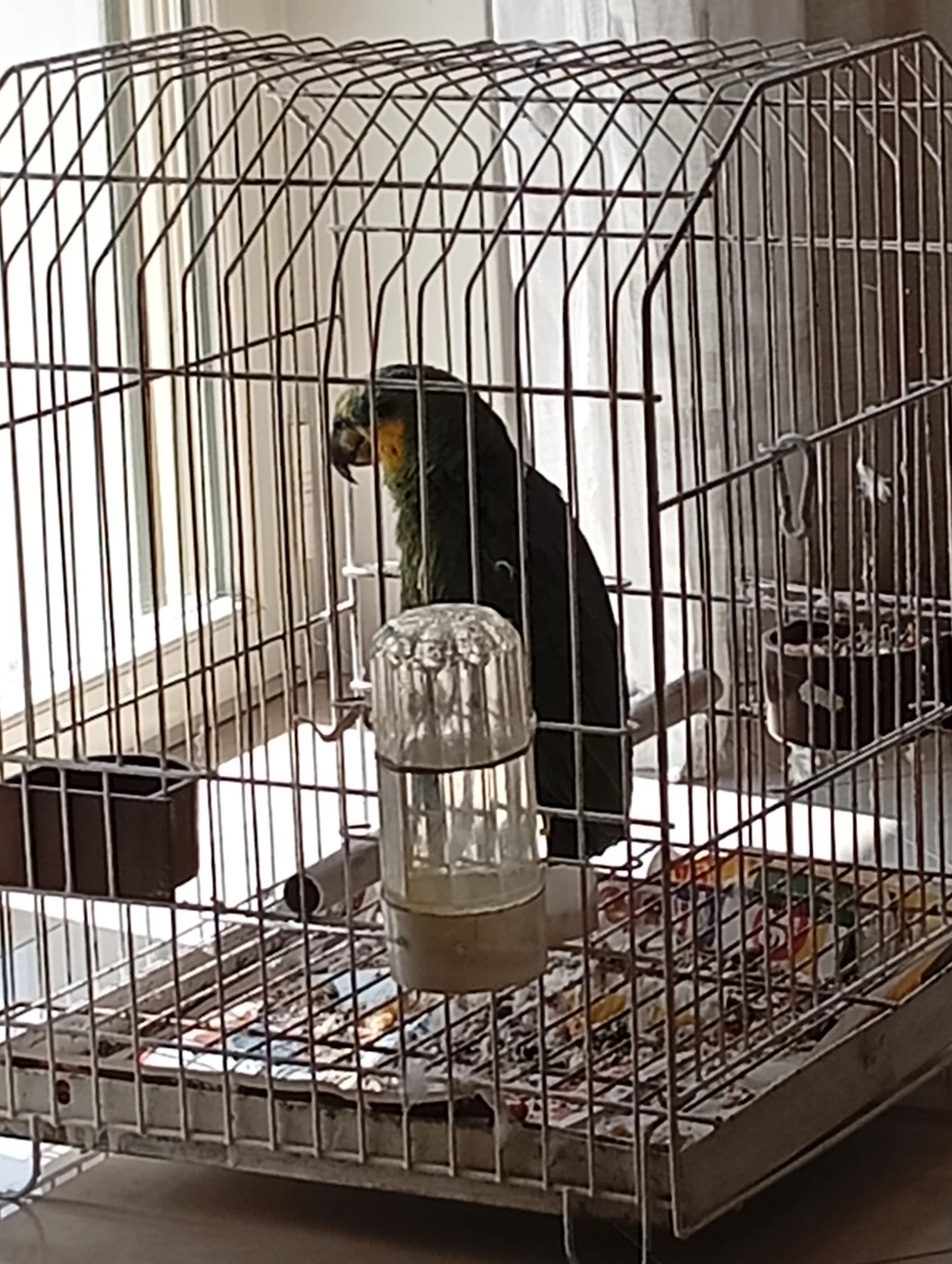 image-11
