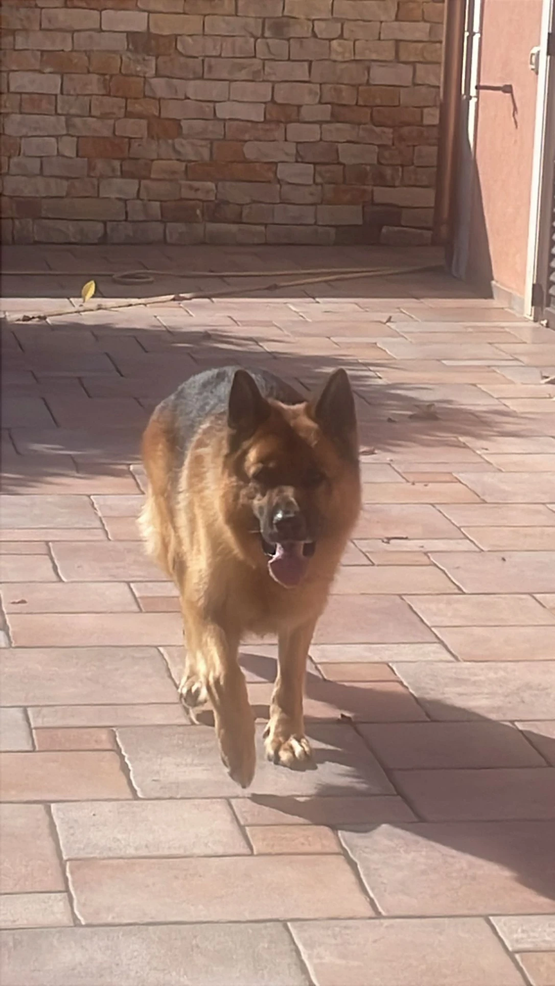 image-8