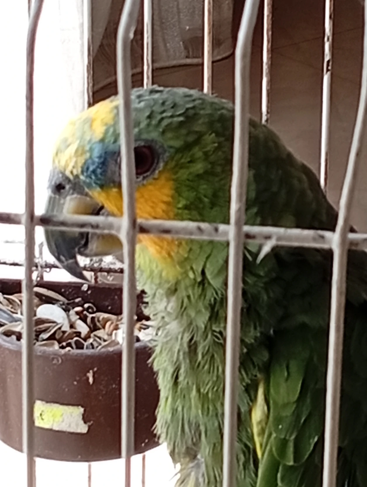 image-12