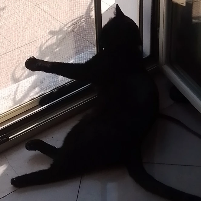 Mezzanotte 
