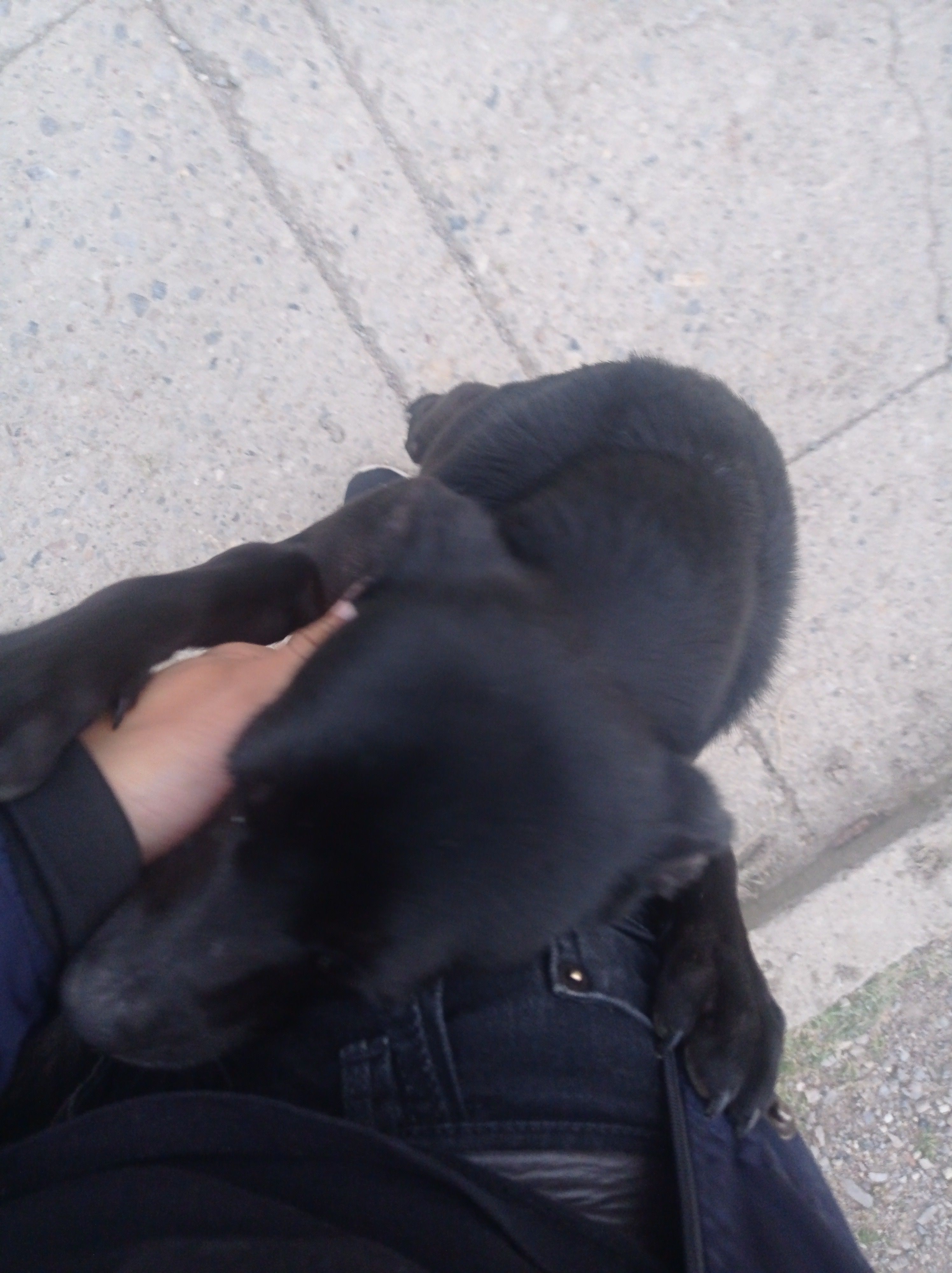 image-5