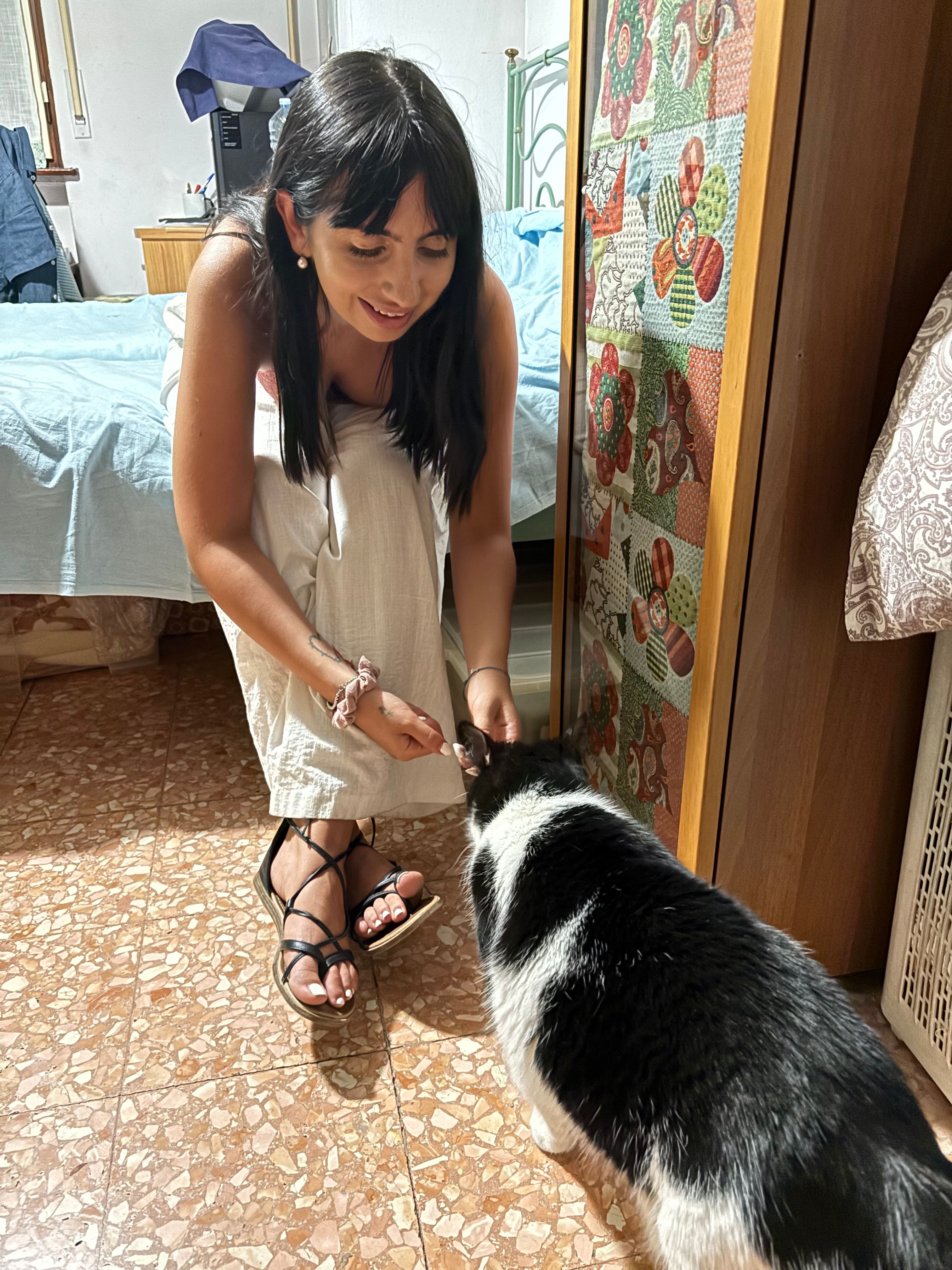 image-3