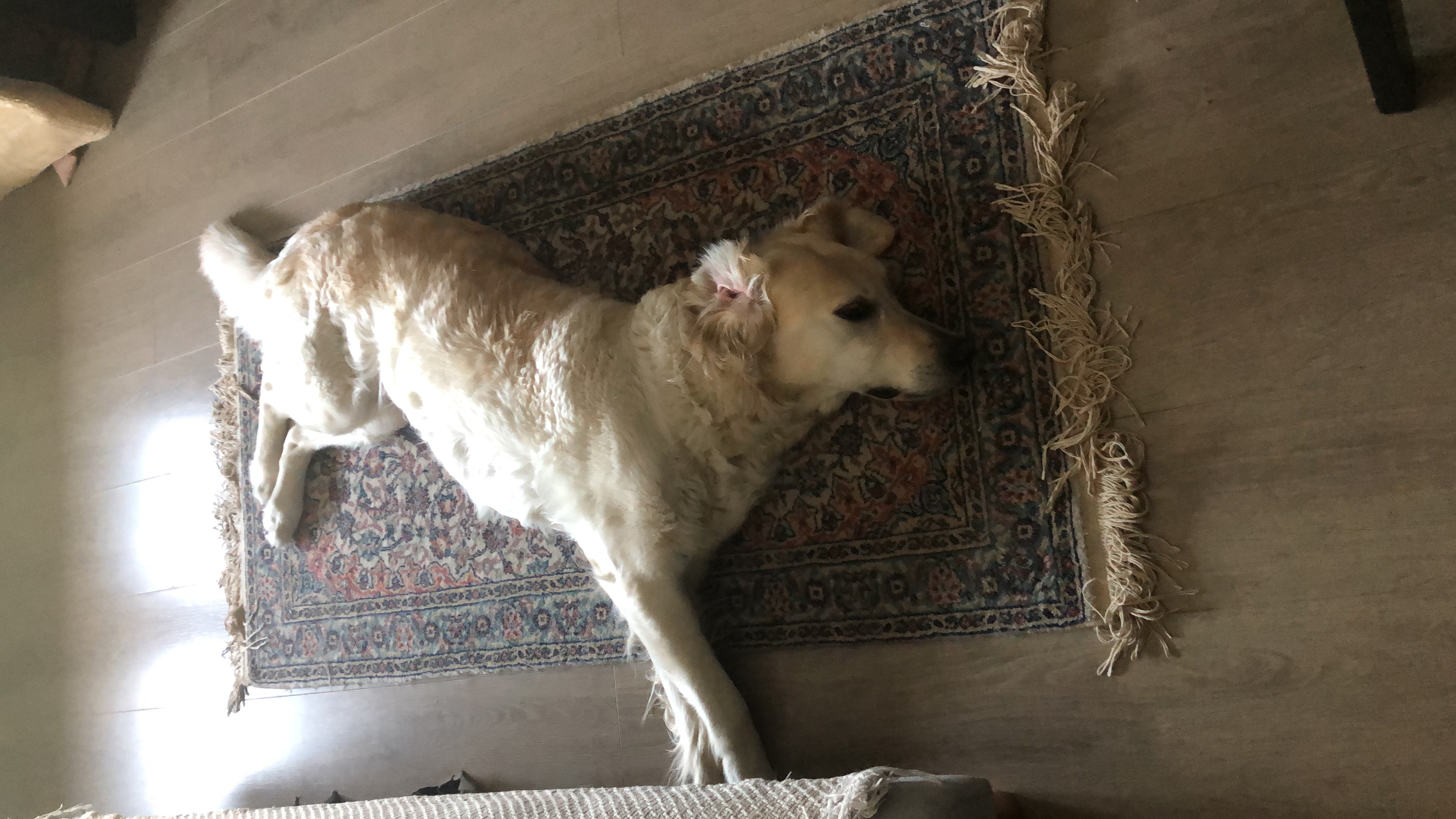 image-7
