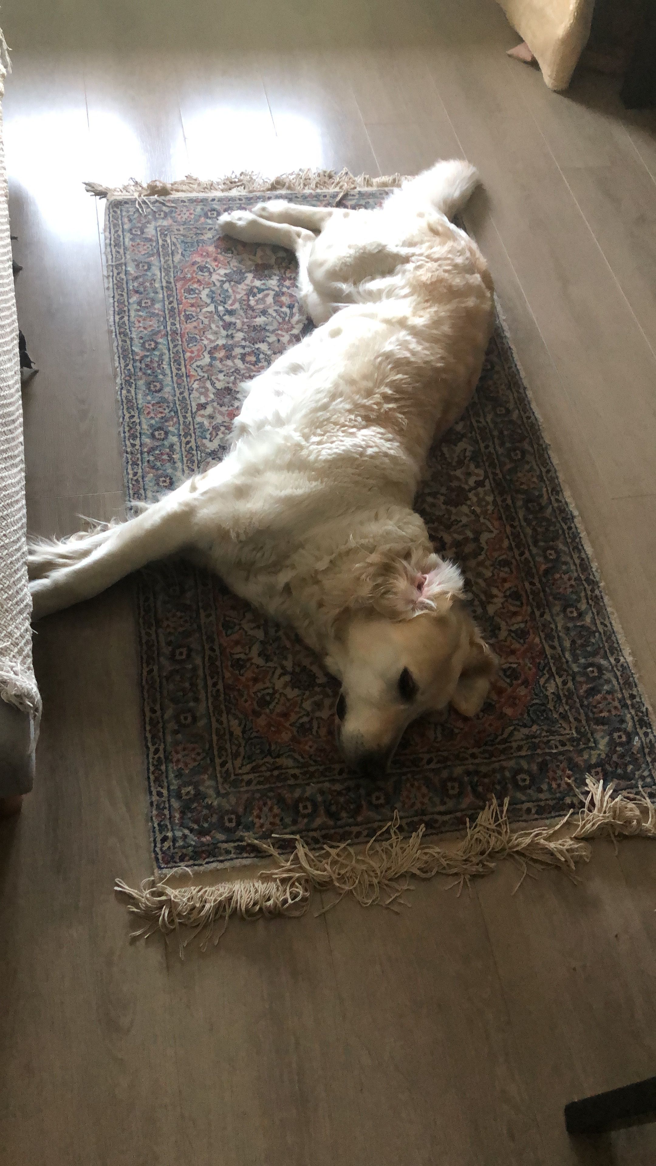 image-7