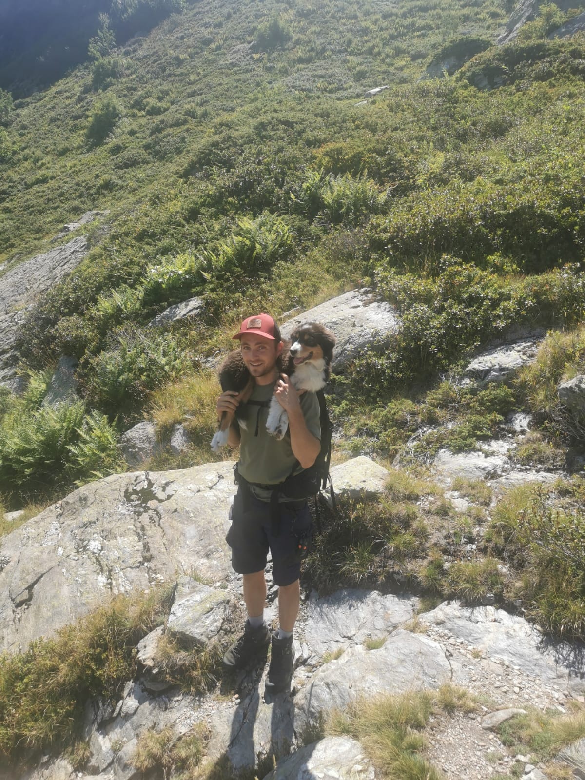 image-4