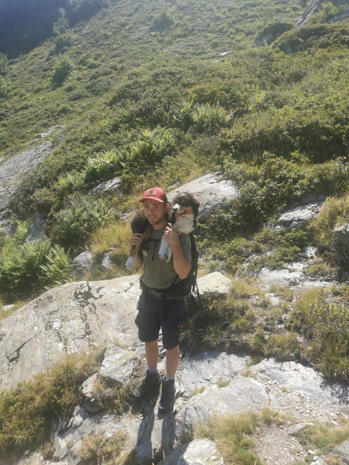image-4
