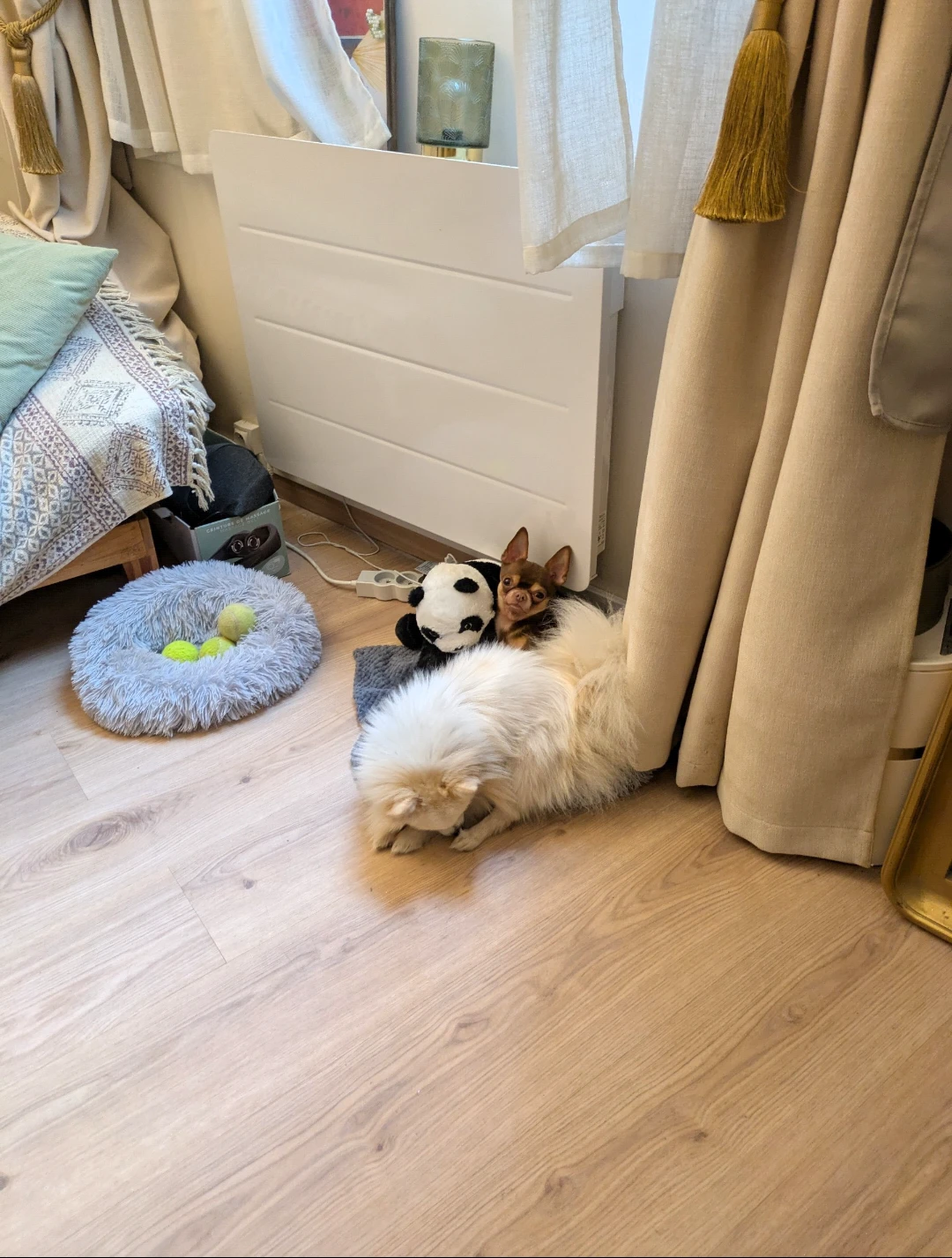 image-13