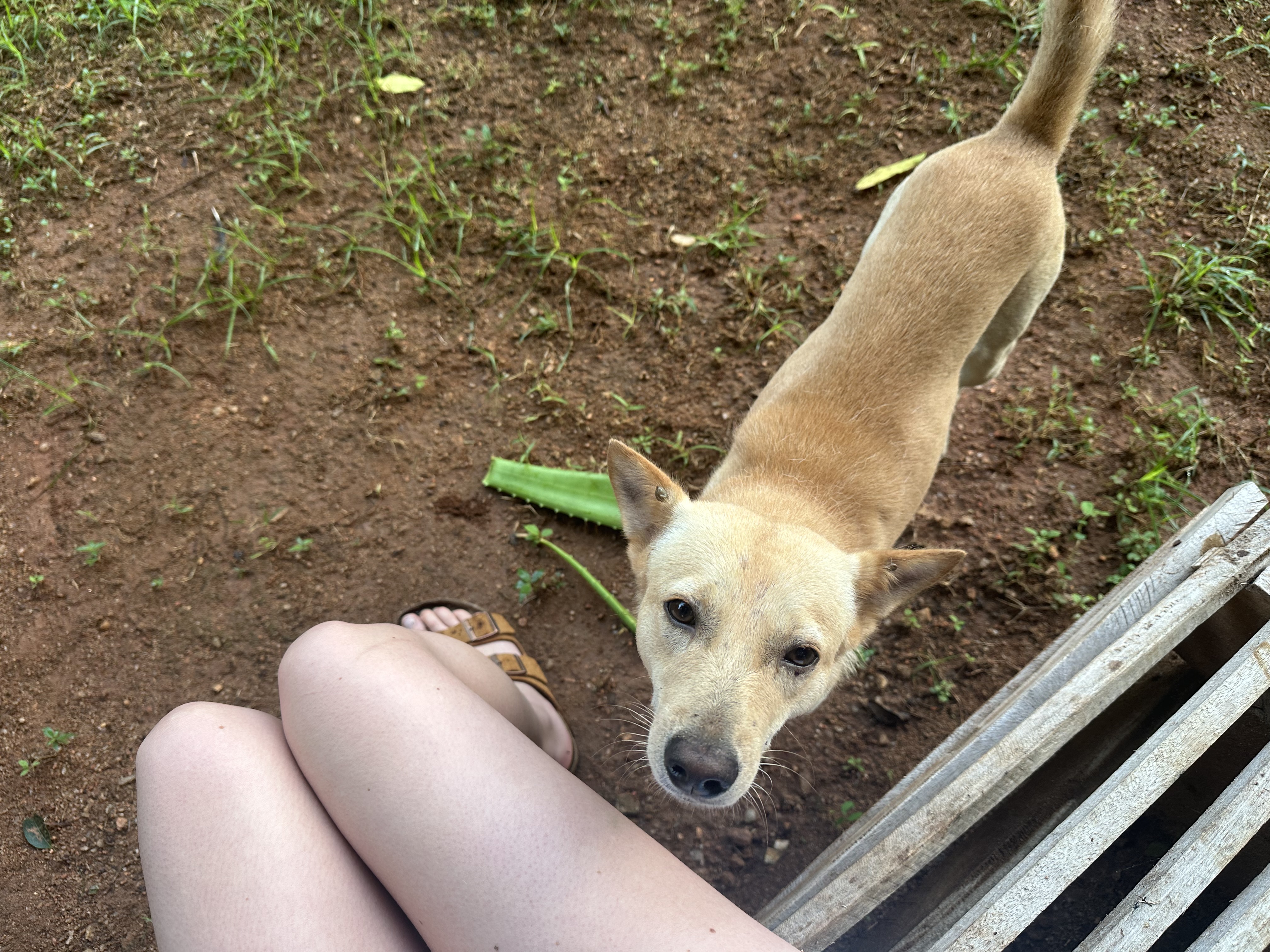 image-7
