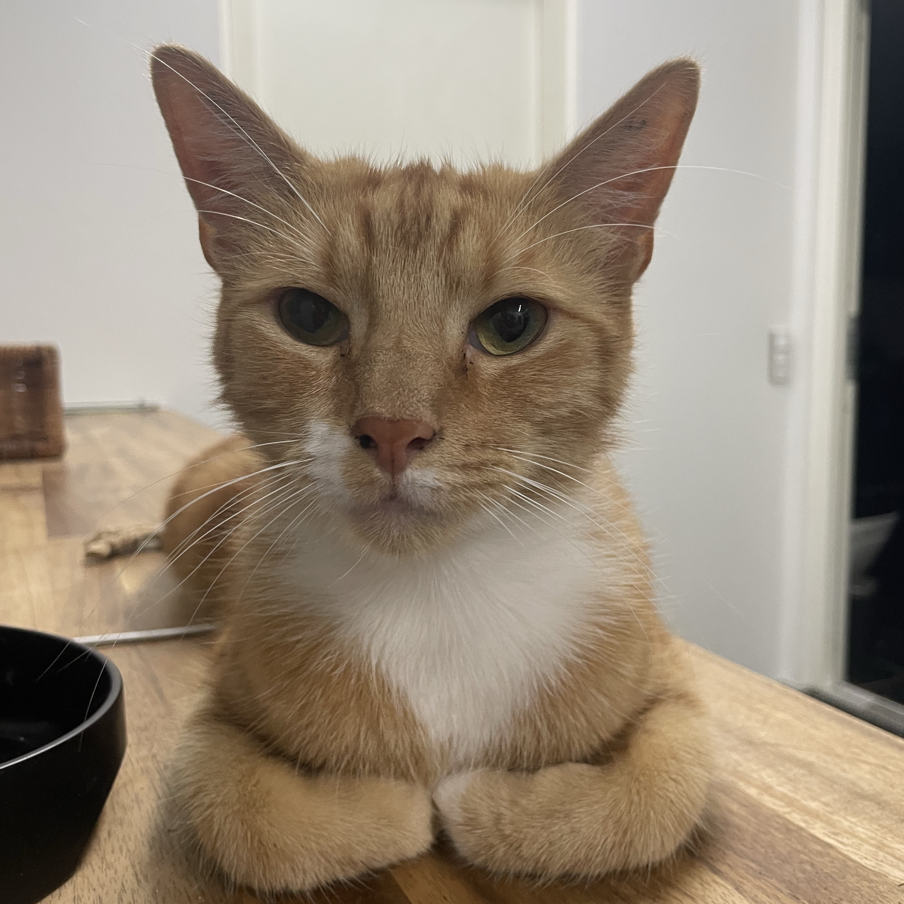 Loki