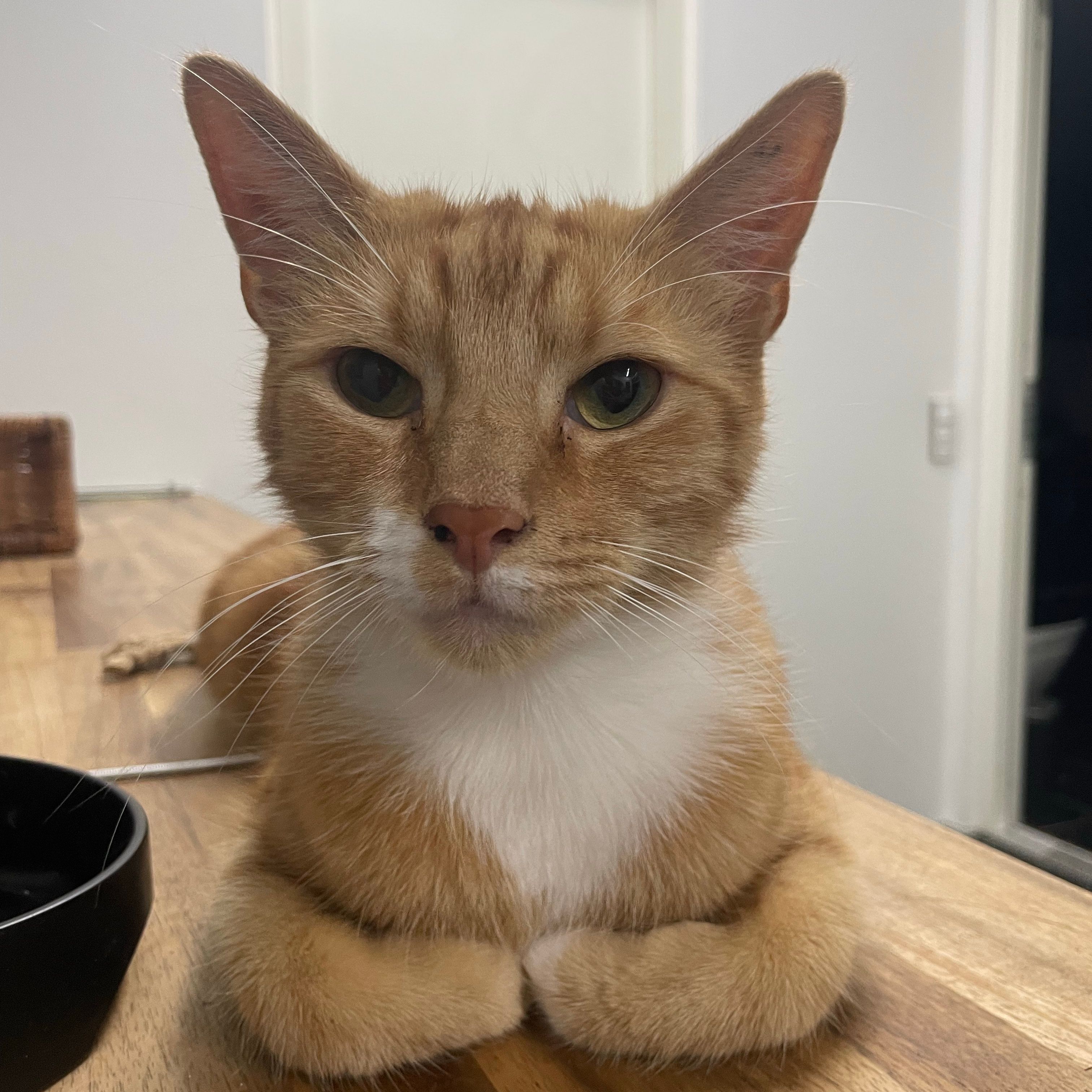 Loki