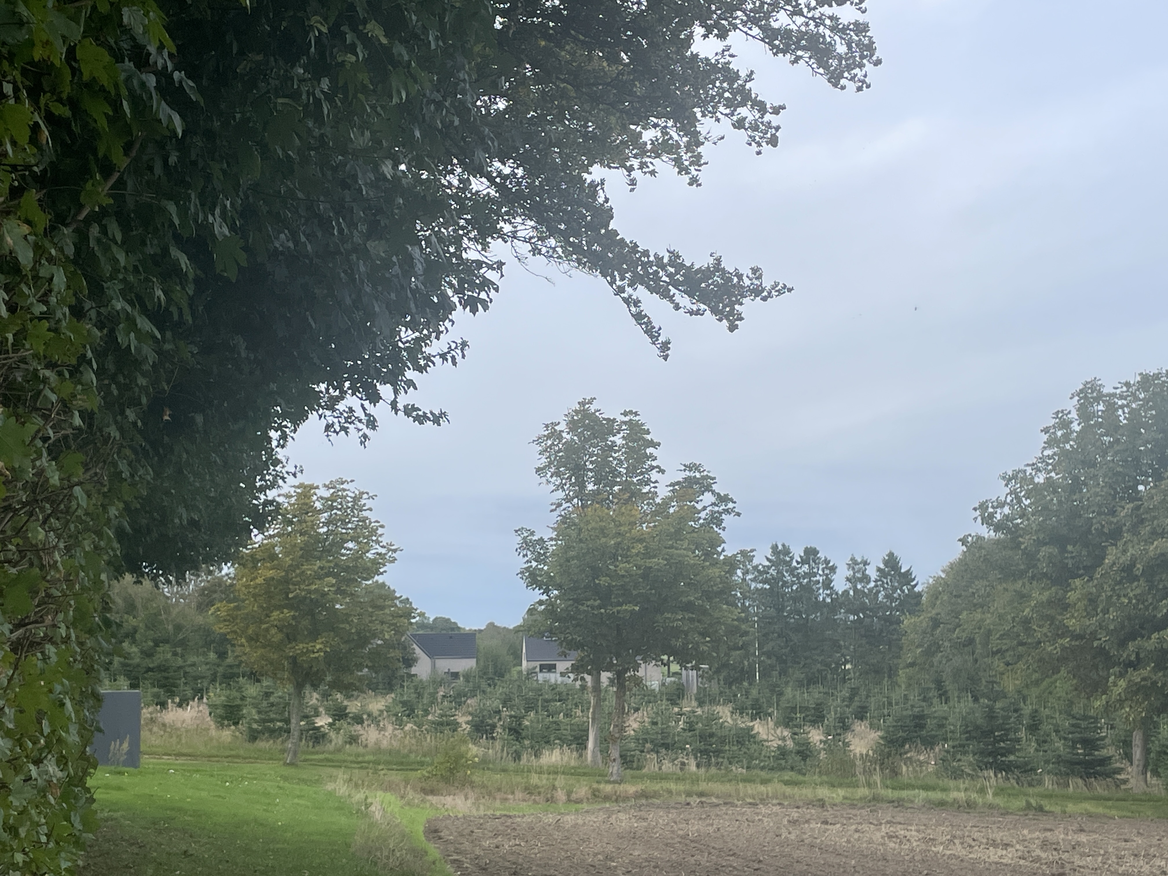 image-18