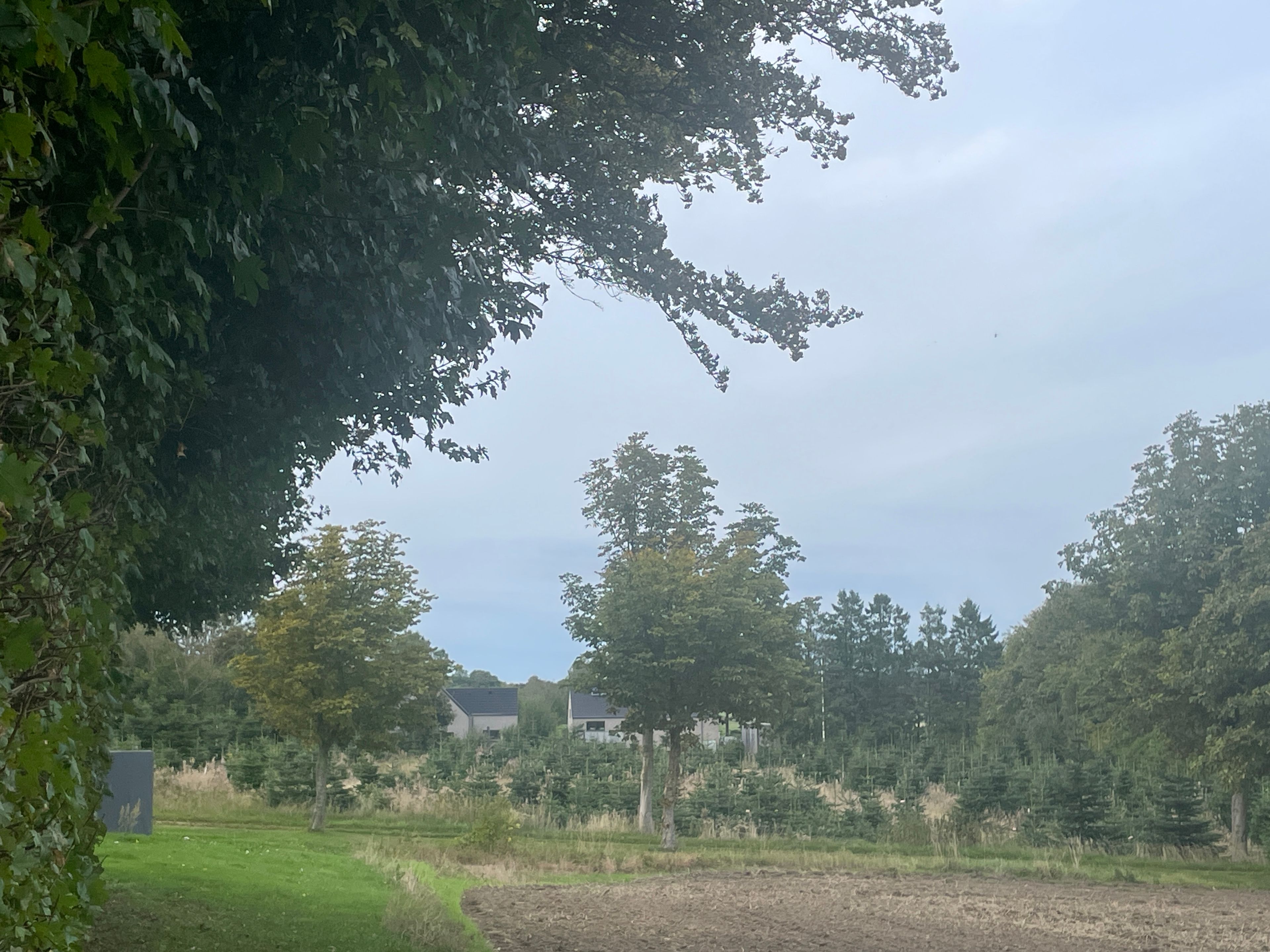 image-18
