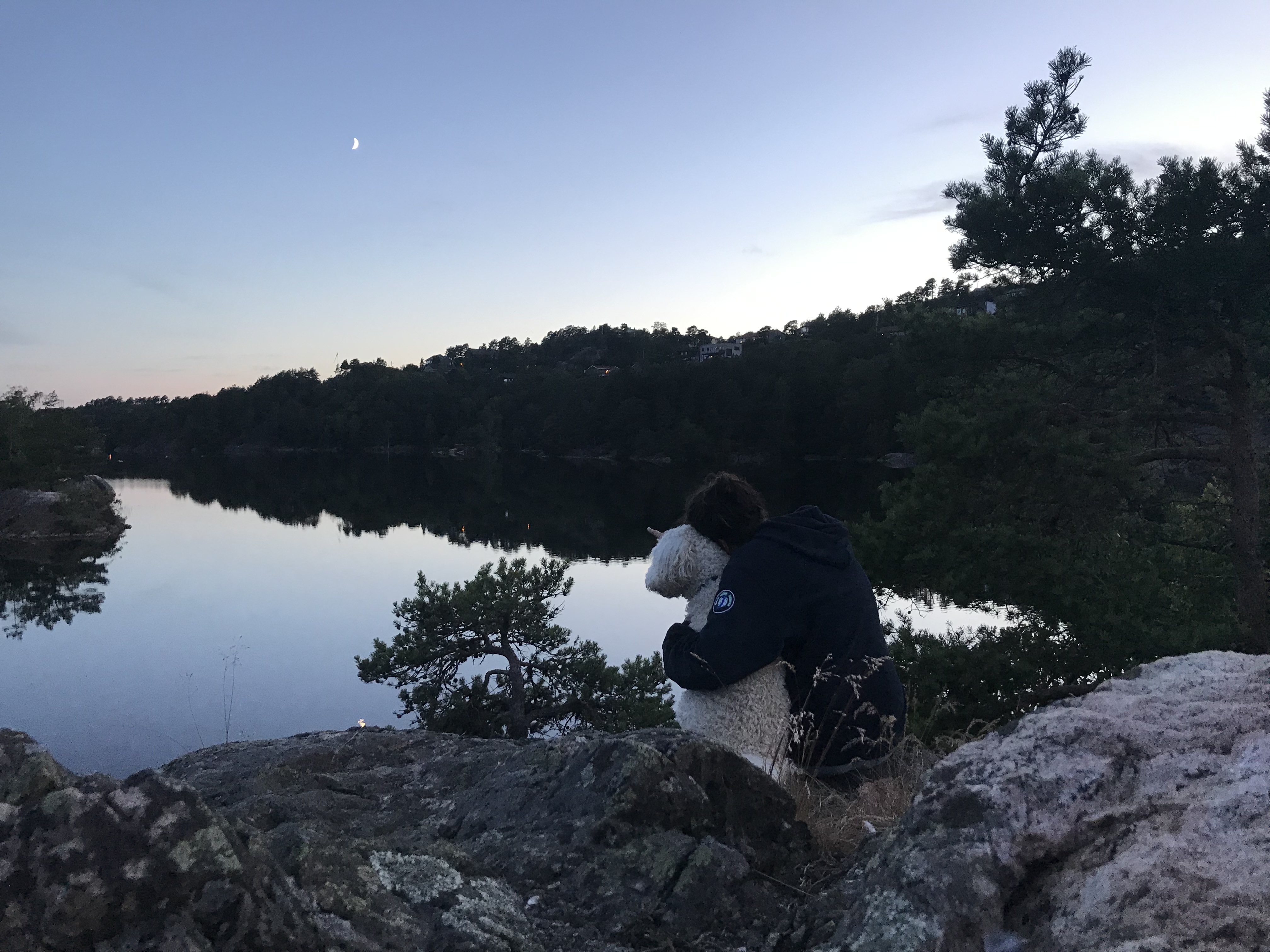 image-6