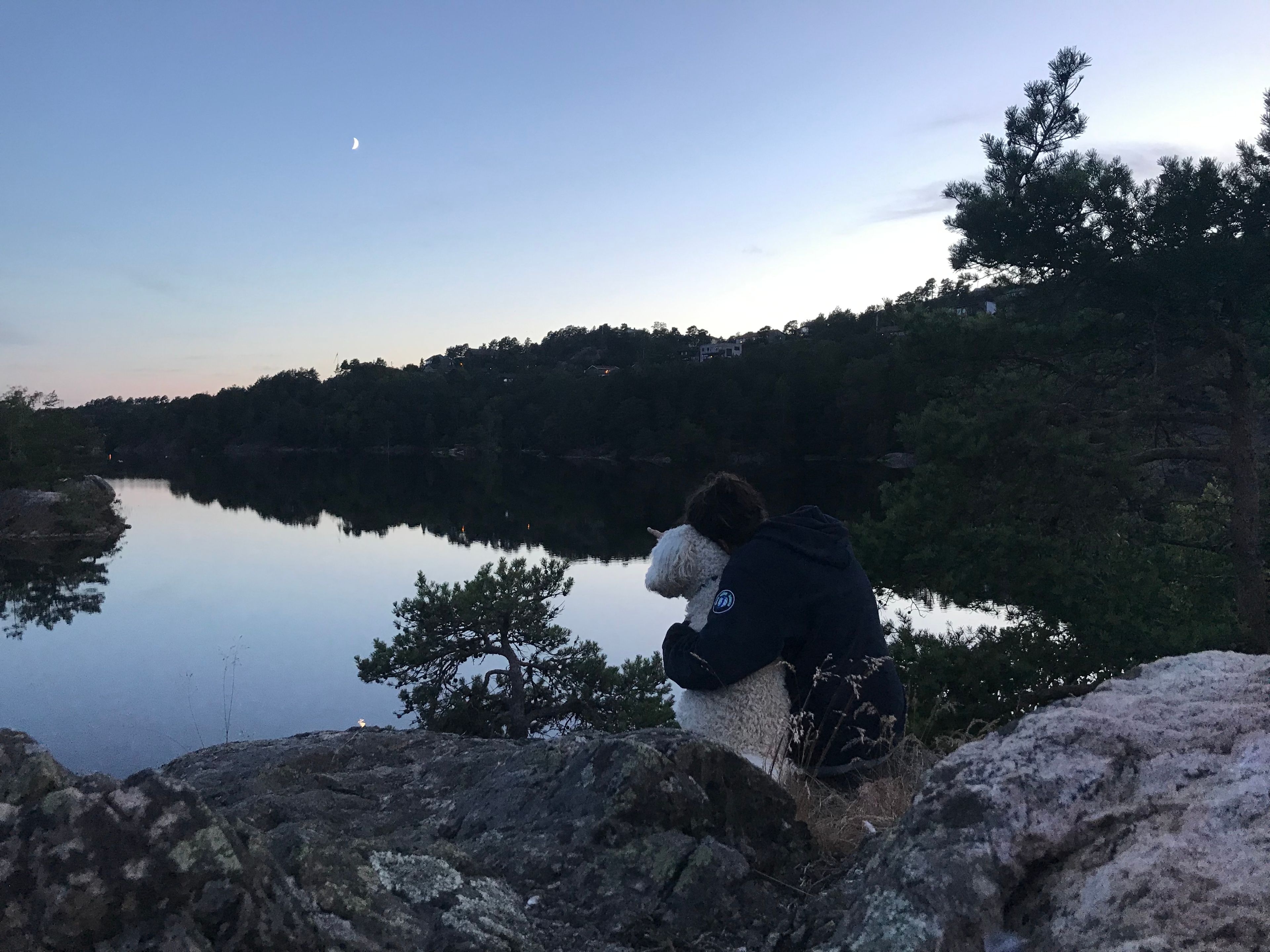 image-6