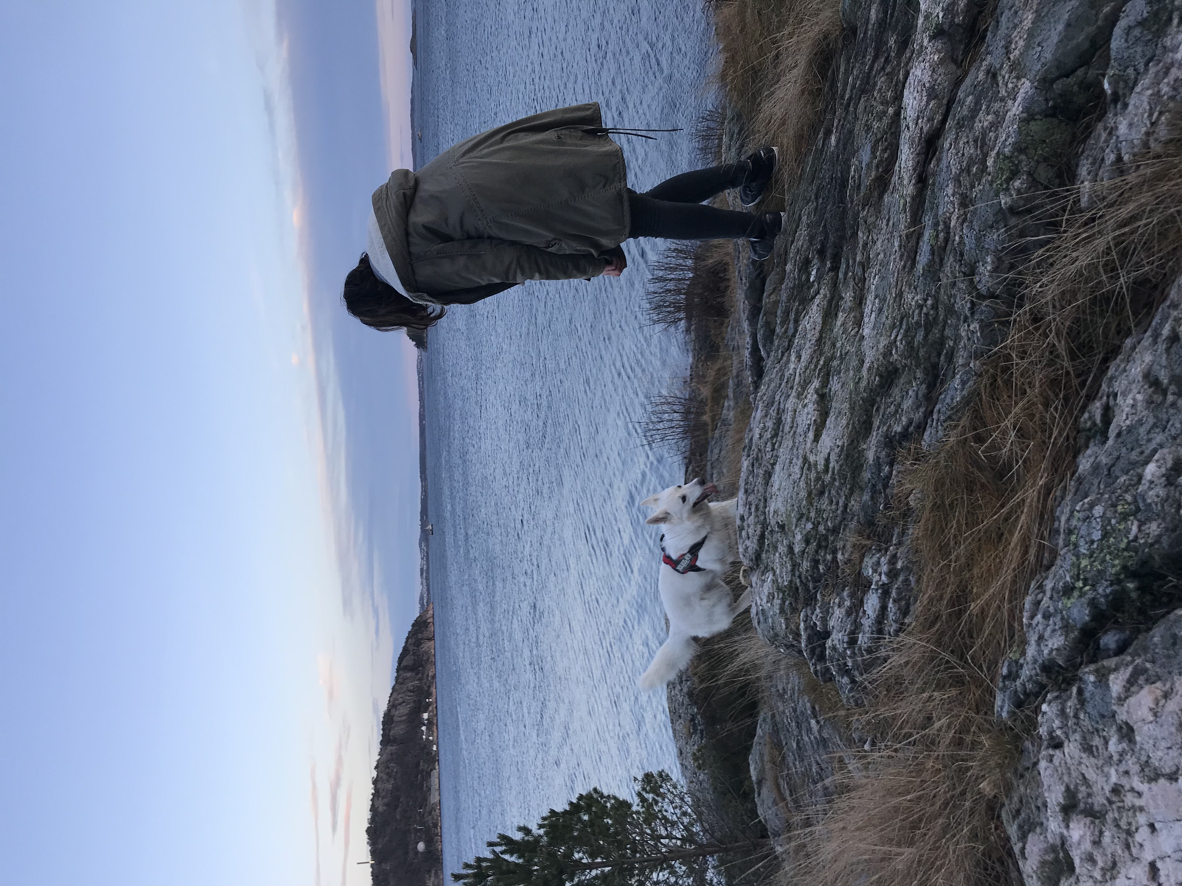 image-12